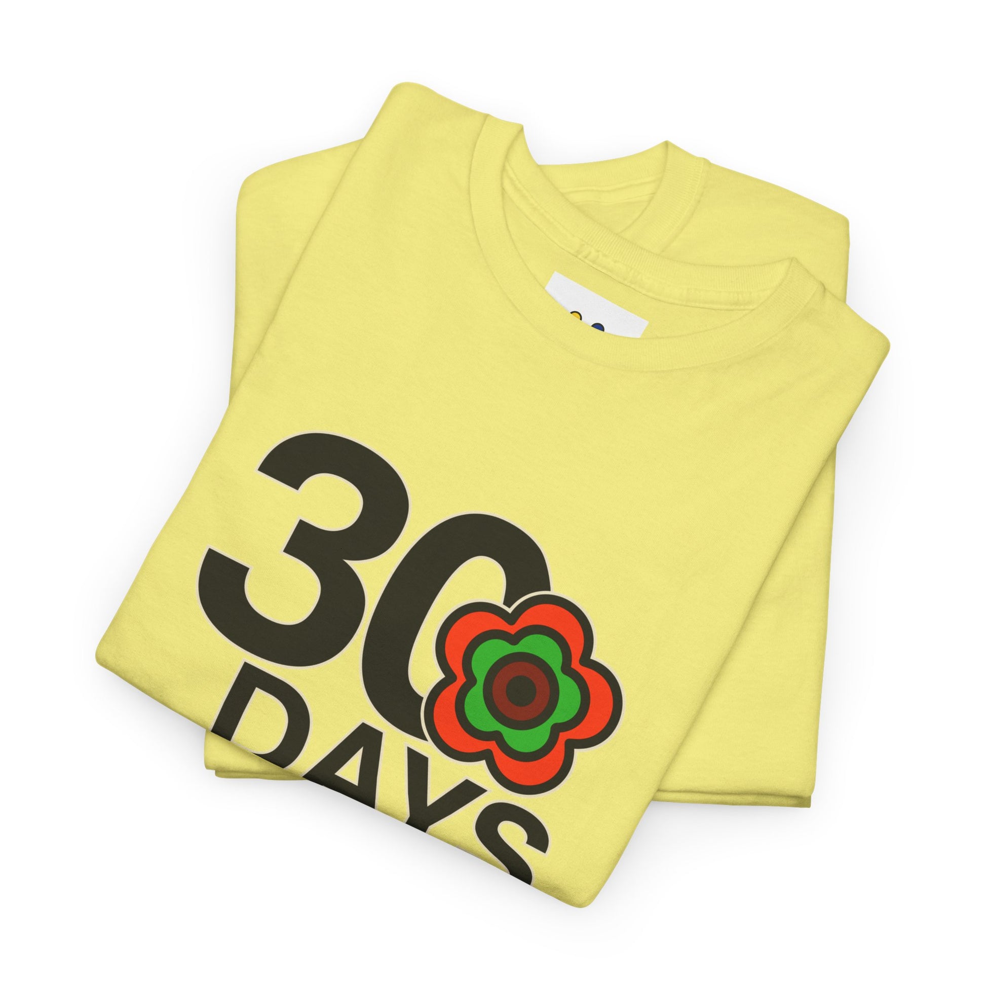 P🌺🌺P2Poppies 30 Days Sober – Motivational Recovery T-Shirt