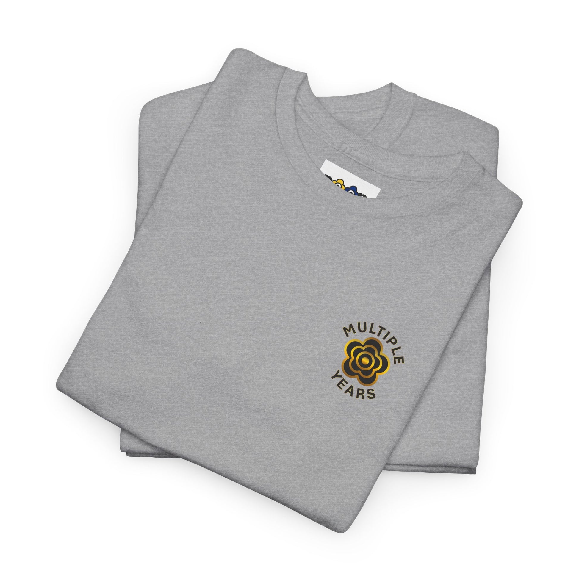 P🌺🌺P2Poppies Multiple Years Sober – Motivational Recovery T-Shirt