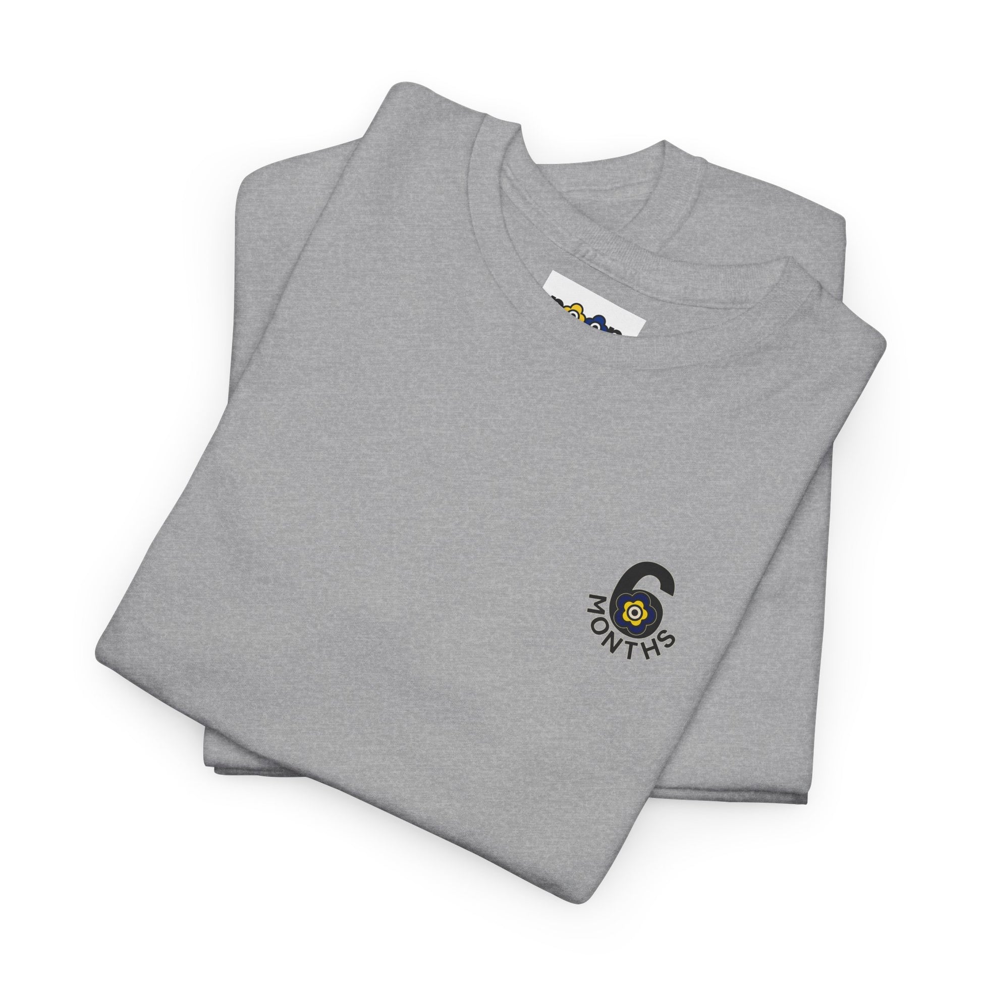 P🌺🌺P2Poppies 6 Months Sober – Motivational Recovery T-Shirt