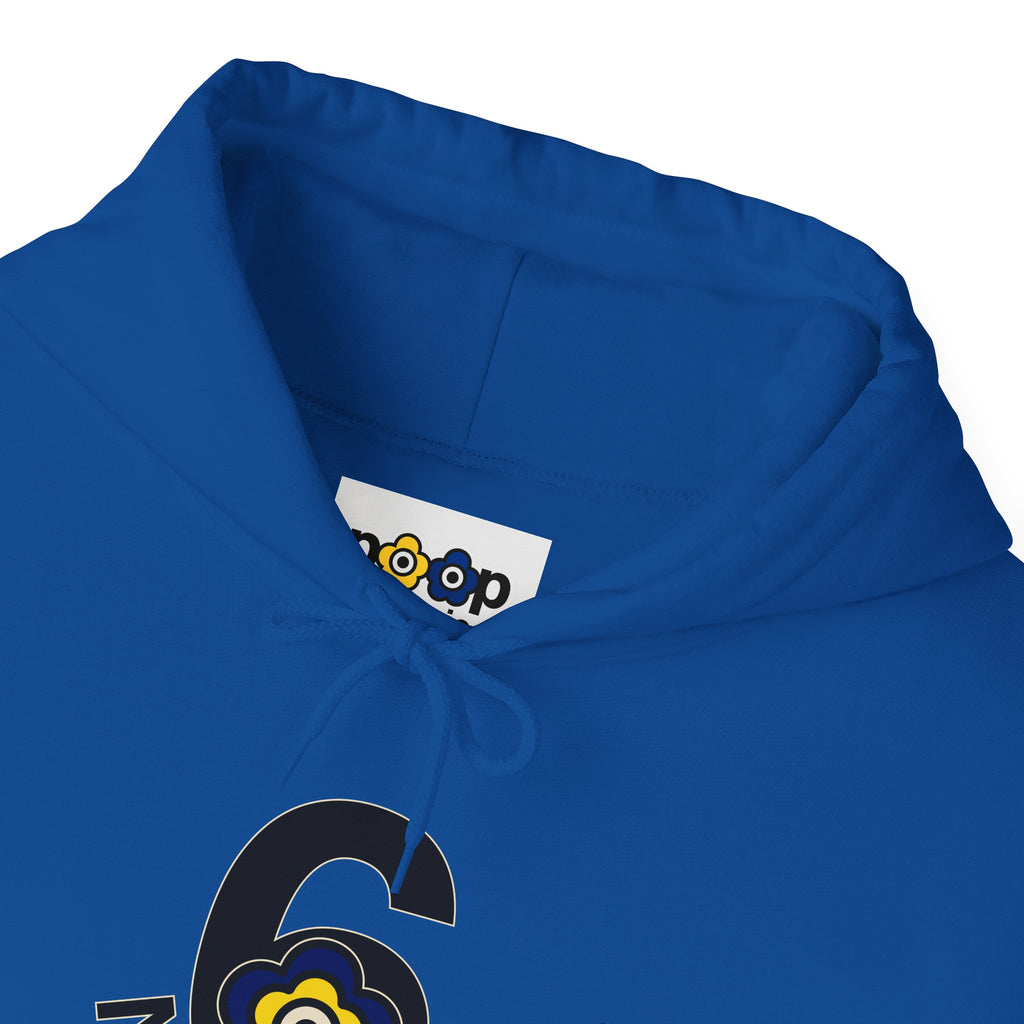 P🌺🌺P2Poppies 6 Months Sober Hoodie – Recovery Milestone Sweatshirt