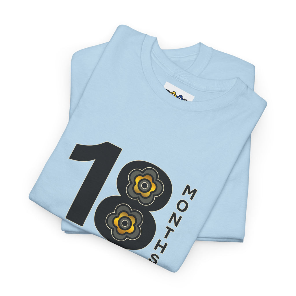 P🌺🌺P2Poppies 18 Months Sober – Motivational Recovery T-Shirt