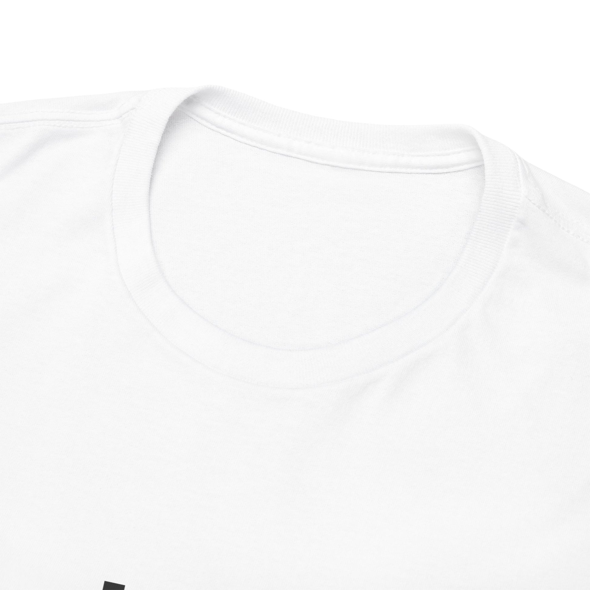 P🌺🌺P2Poppies Just for Today – Motivational Recovery T-Shirt