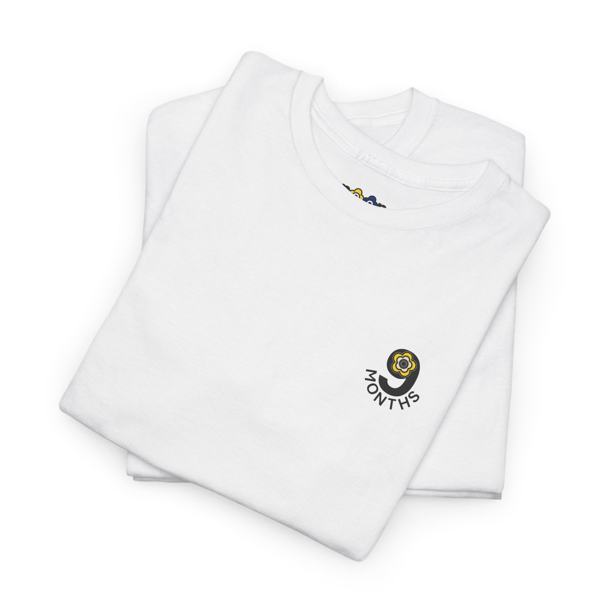 P🌺🌺P2Poppies 9 Months Sober – Motivational Recovery T-Shirt