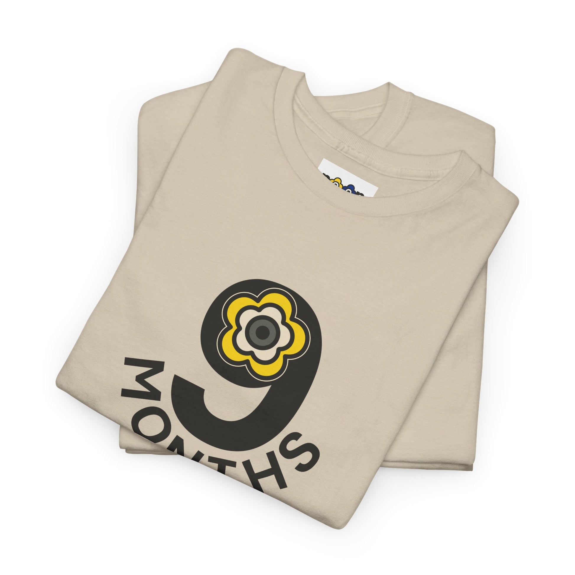 P🌺🌺P2Poppies 9 Months Sober – Motivational Recovery T-Shirt