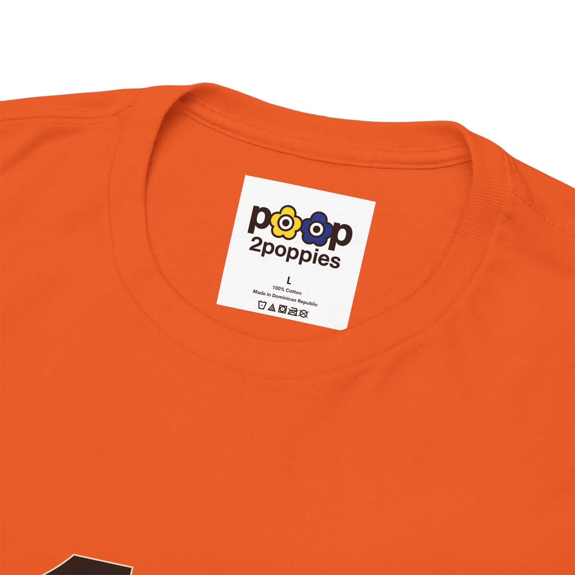 P🌺🌺P2Poppies 18 Months Sober – Motivational Recovery T-Shirt