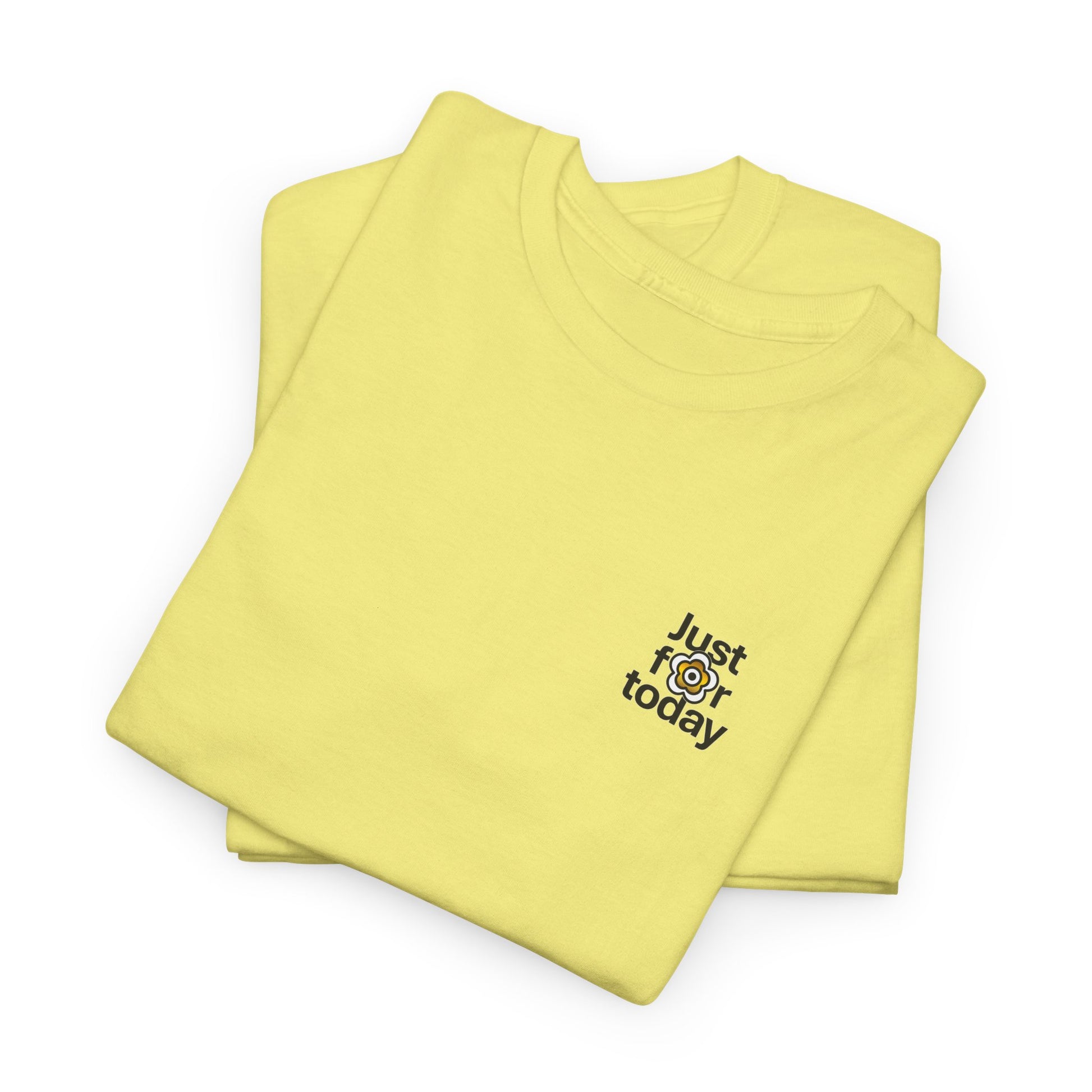 P🌺🌺P2Poppies Just for Today – Motivational Recovery T-Shirt