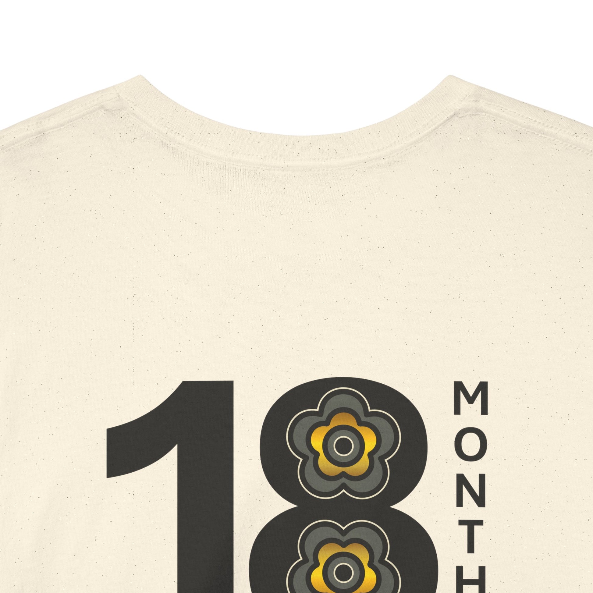 P🌺🌺P2Poppies 18 Months Sober – Motivational Recovery T-Shirt