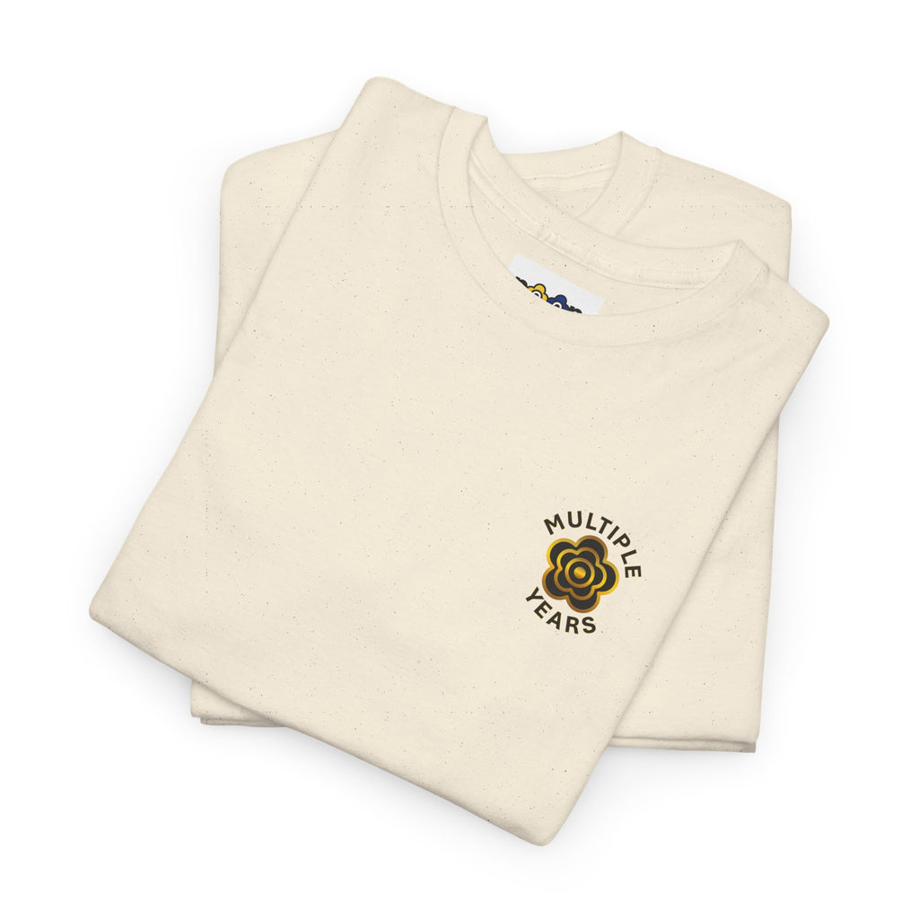 P🌺🌺P2Poppies Multiple Years Sober – Motivational Recovery T-Shirt