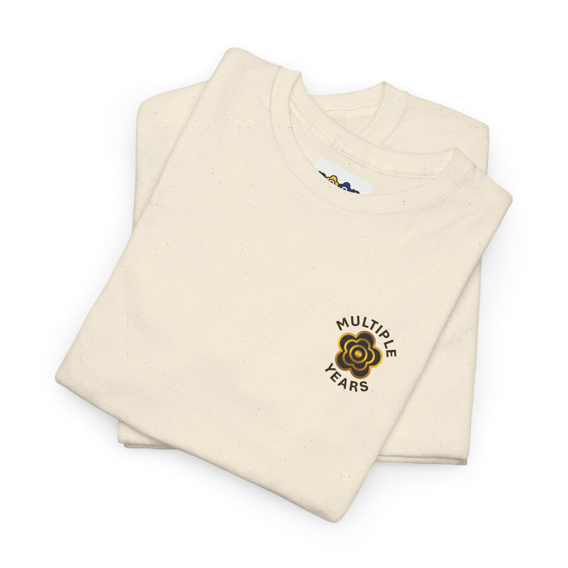 P🌺🌺P2Poppies Multiple Years Sober – Motivational Recovery T-Shirt