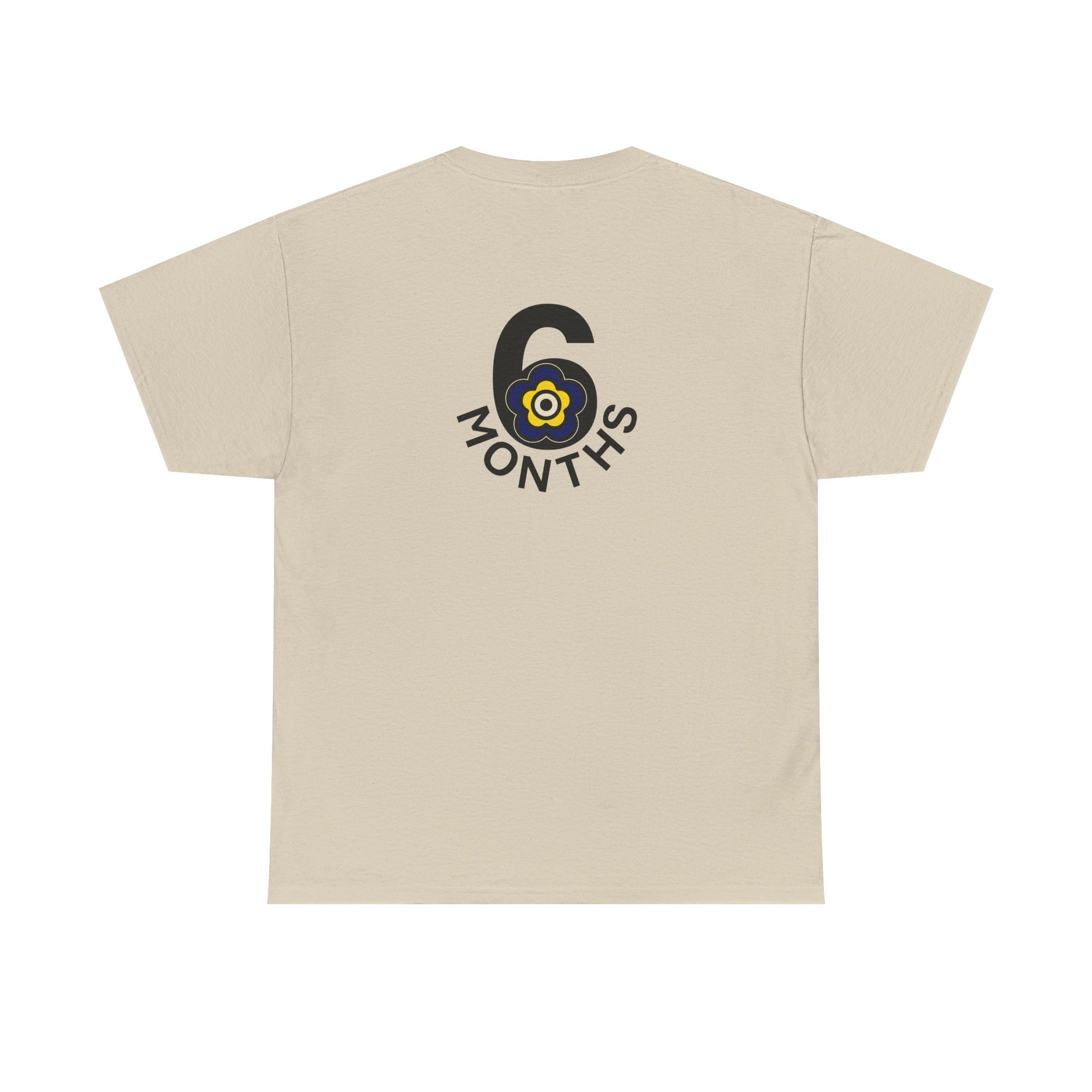 P🌺🌺P2Poppies 6 Months Sober – Motivational Recovery T-Shirt