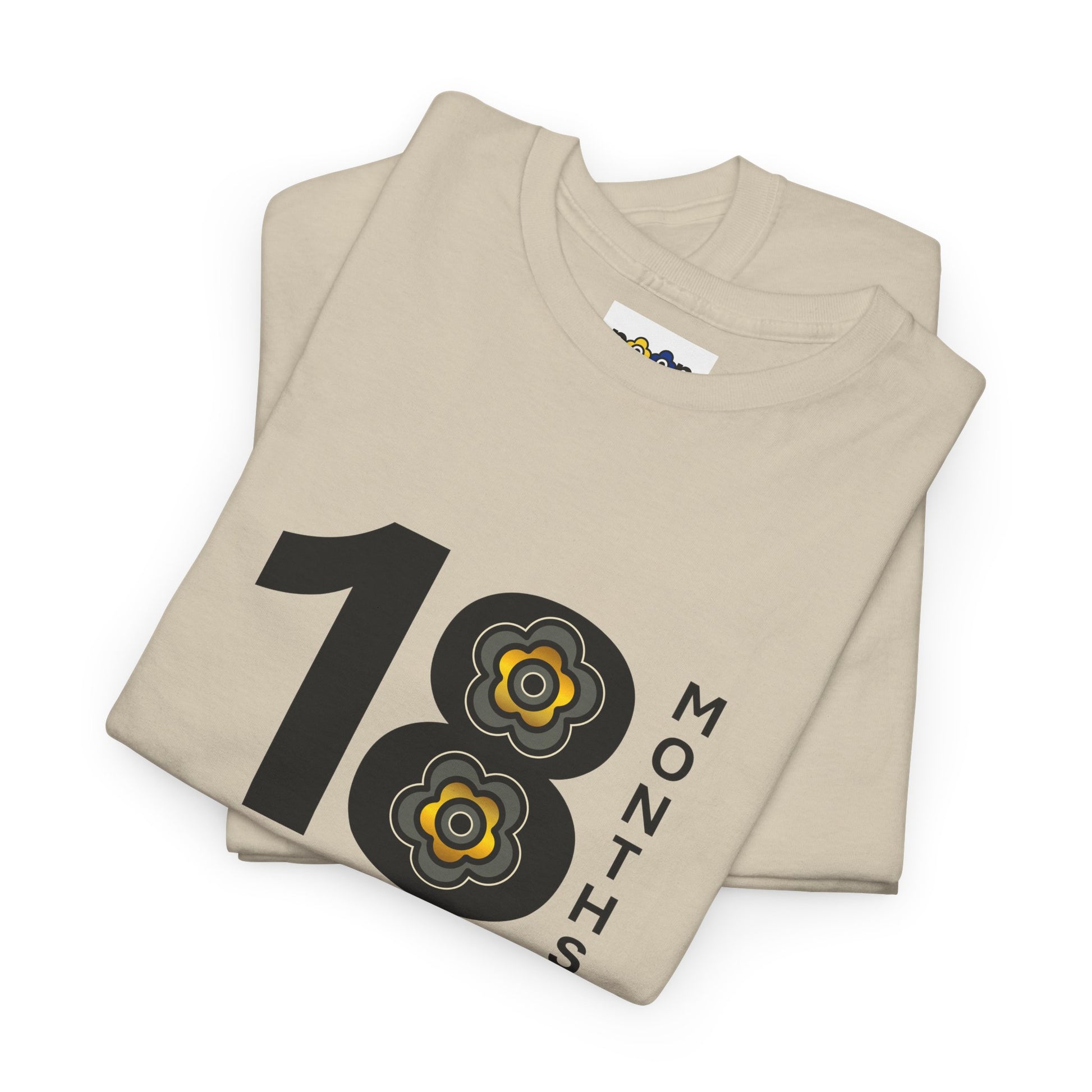 P🌺🌺P2Poppies 18 Months Sober – Motivational Recovery T-Shirt