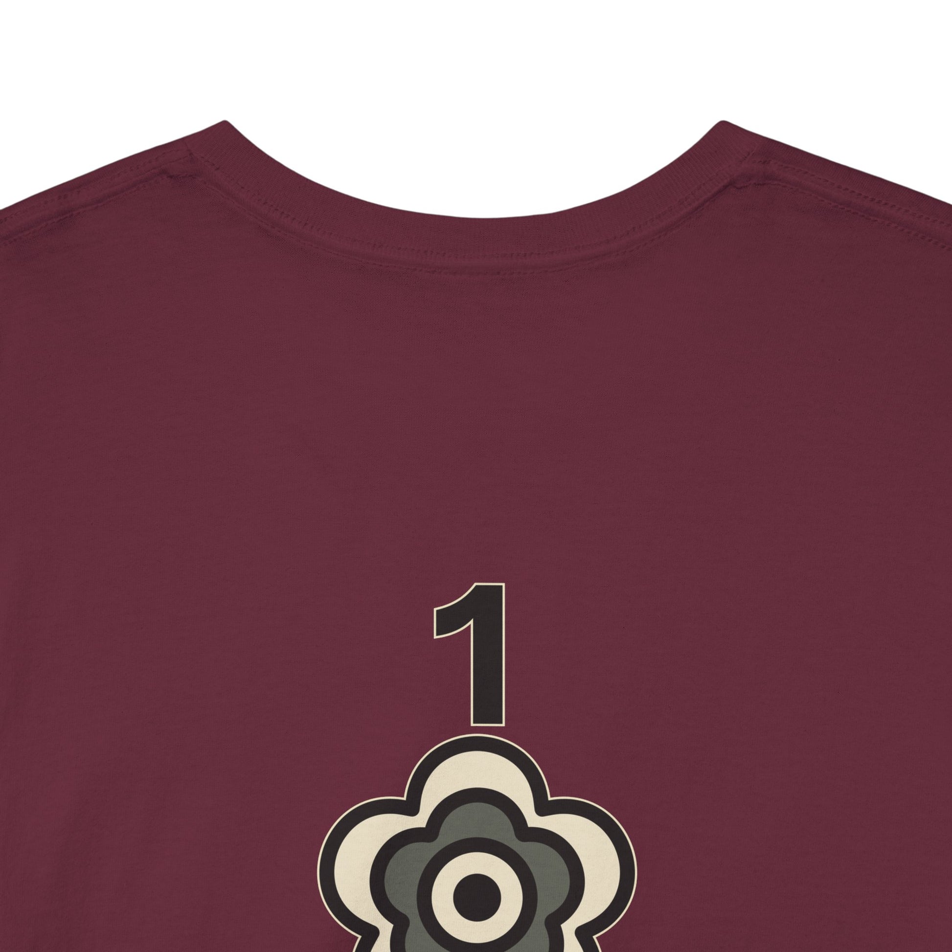 P🌺🌺P2Poppies 1 Year Sober – Motivational Recovery T-Shirt