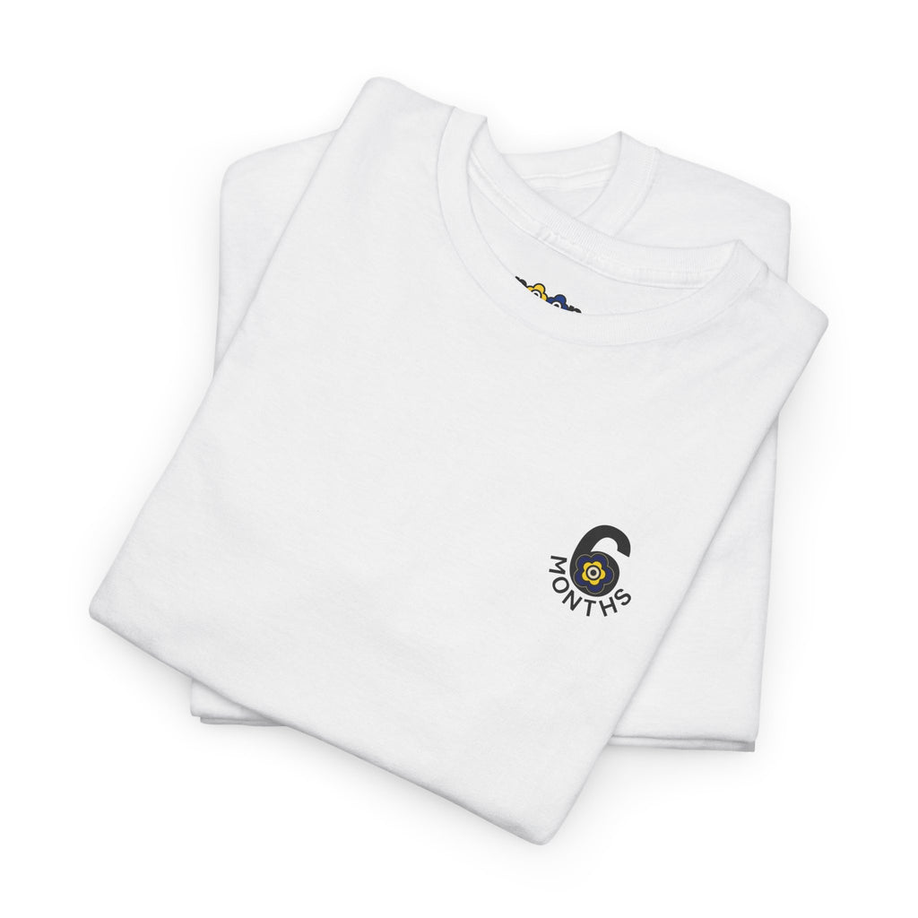 P🌺🌺P2Poppies 6 Months Sober – Motivational Recovery T-Shirt