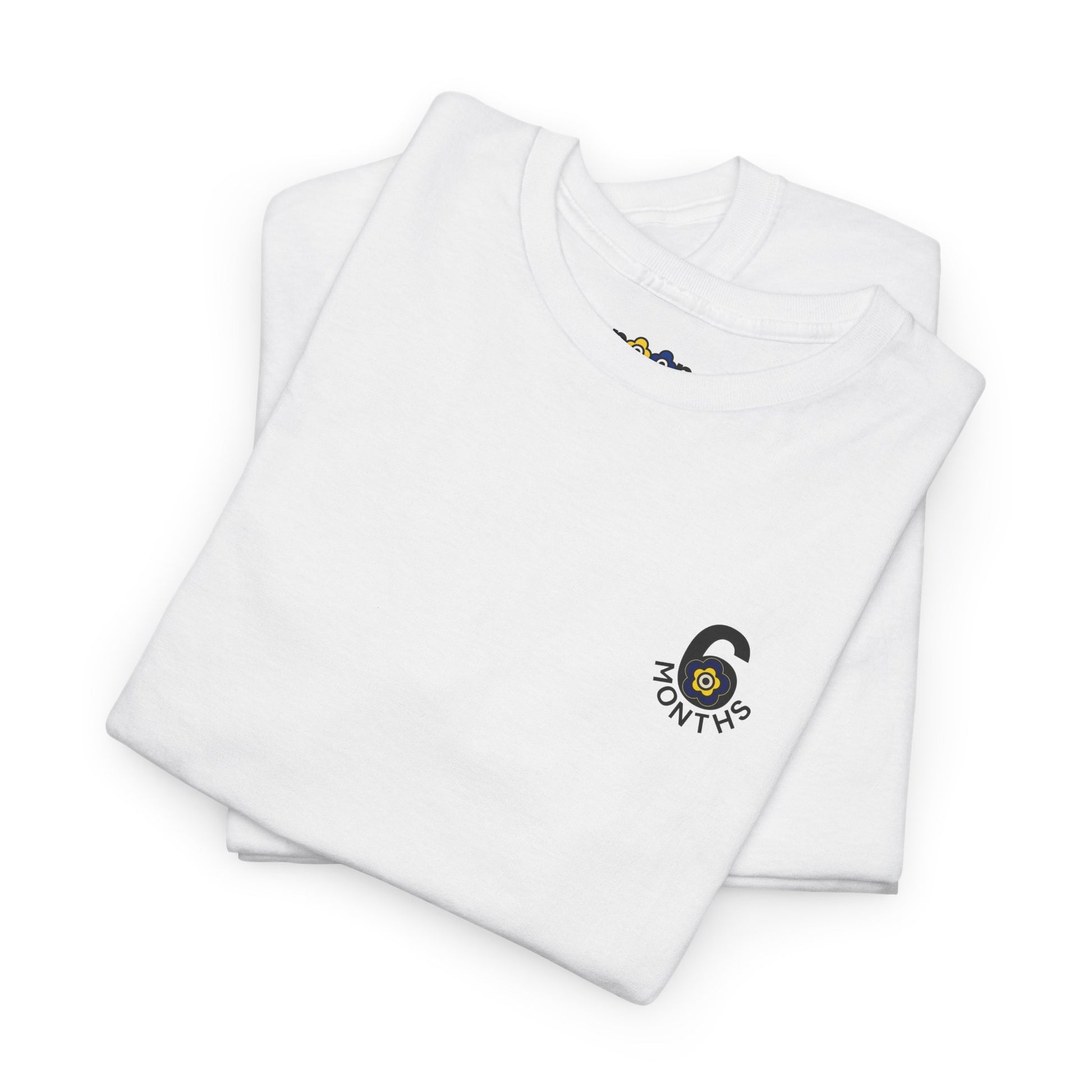 P🌺🌺P2Poppies 6 Months Sober – Motivational Recovery T-Shirt