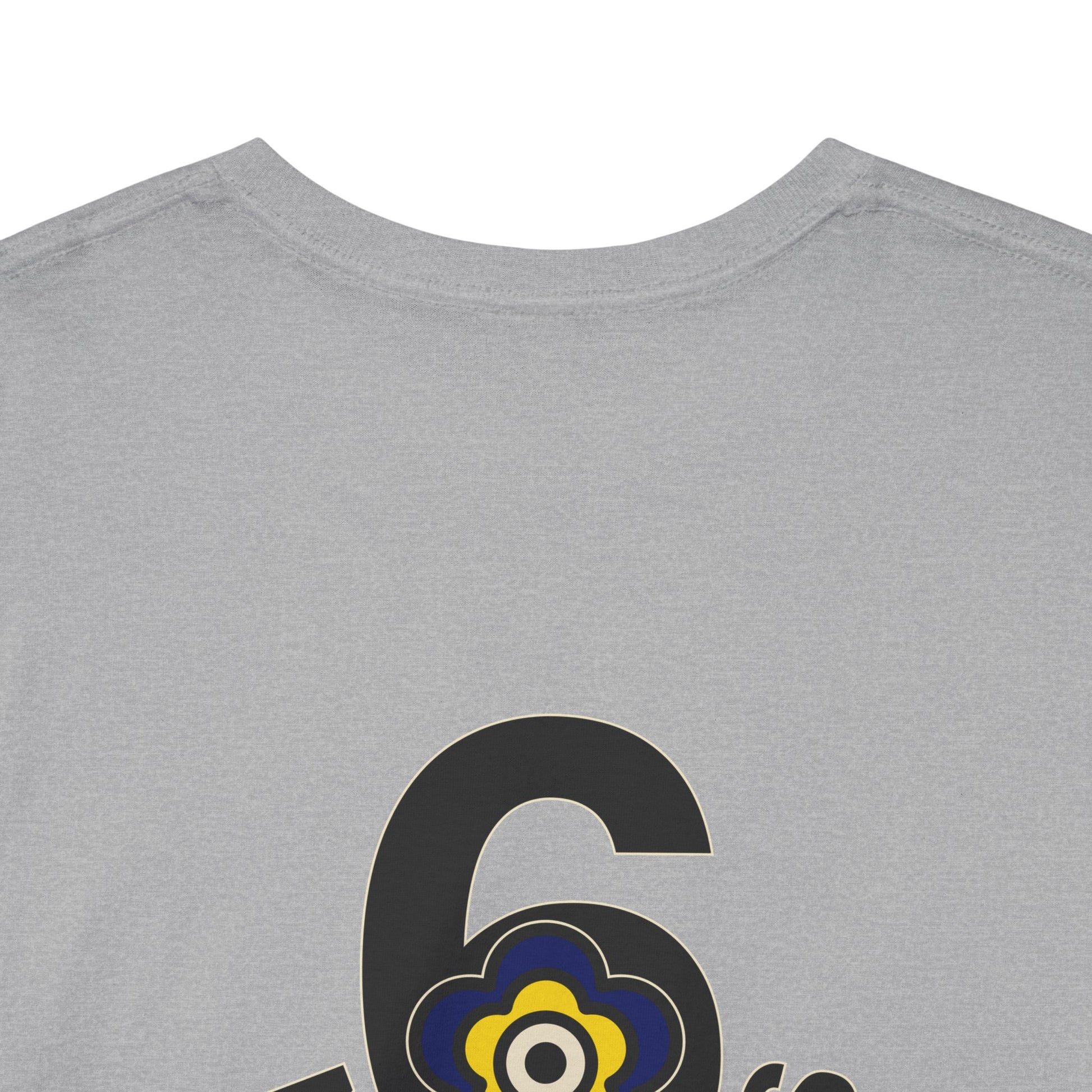 P🌺🌺P2Poppies 6 Months Sober – Motivational Recovery T-Shirt