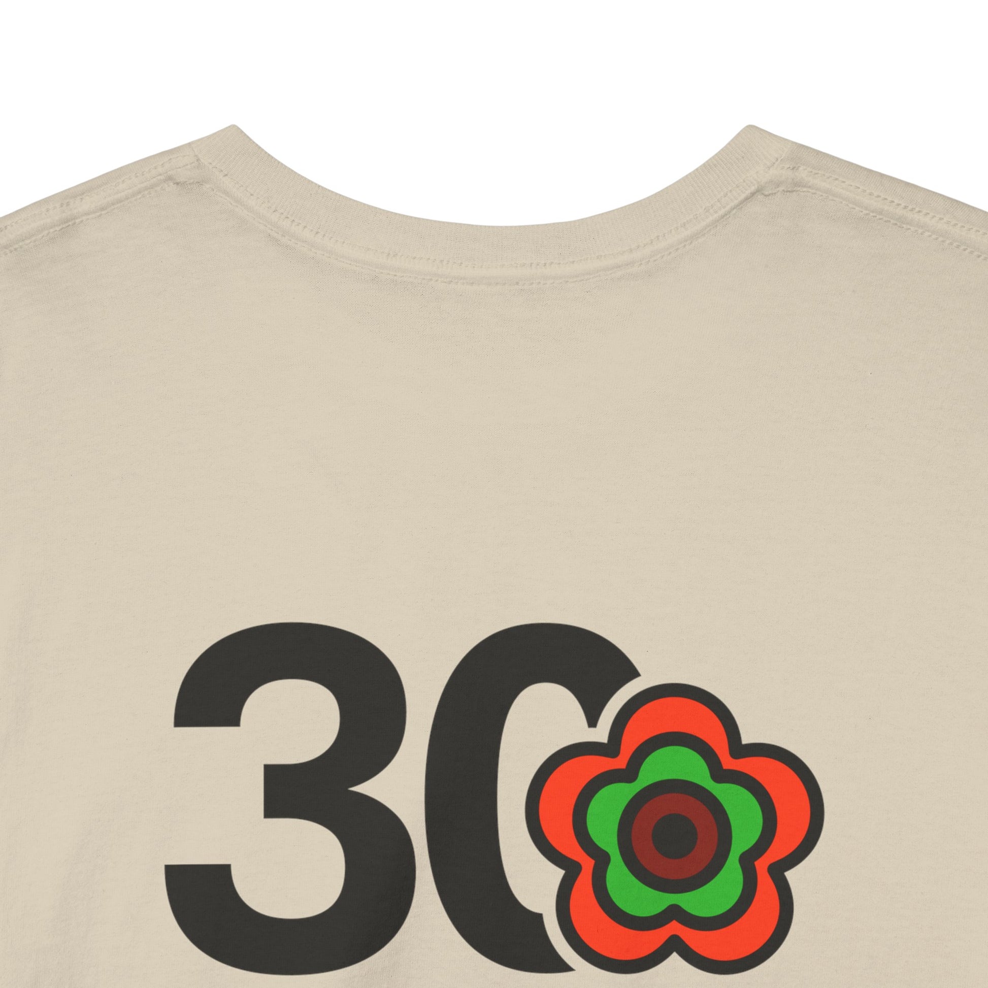 P🌺🌺P2Poppies 30 Days Sober – Motivational Recovery T-Shirt