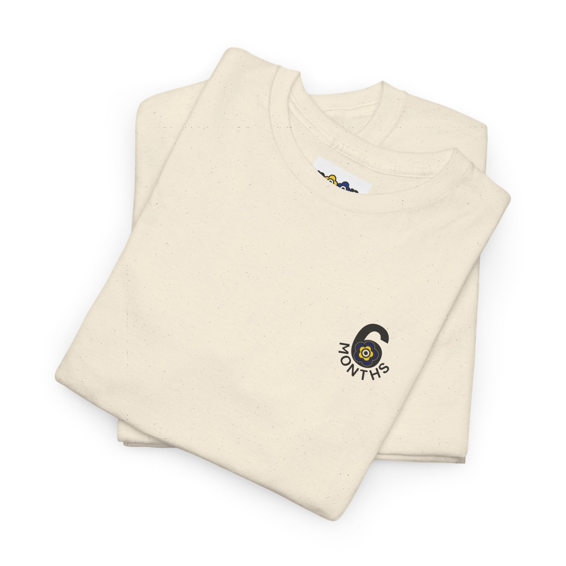 P🌺🌺P2Poppies 6 Months Sober – Motivational Recovery T-Shirt