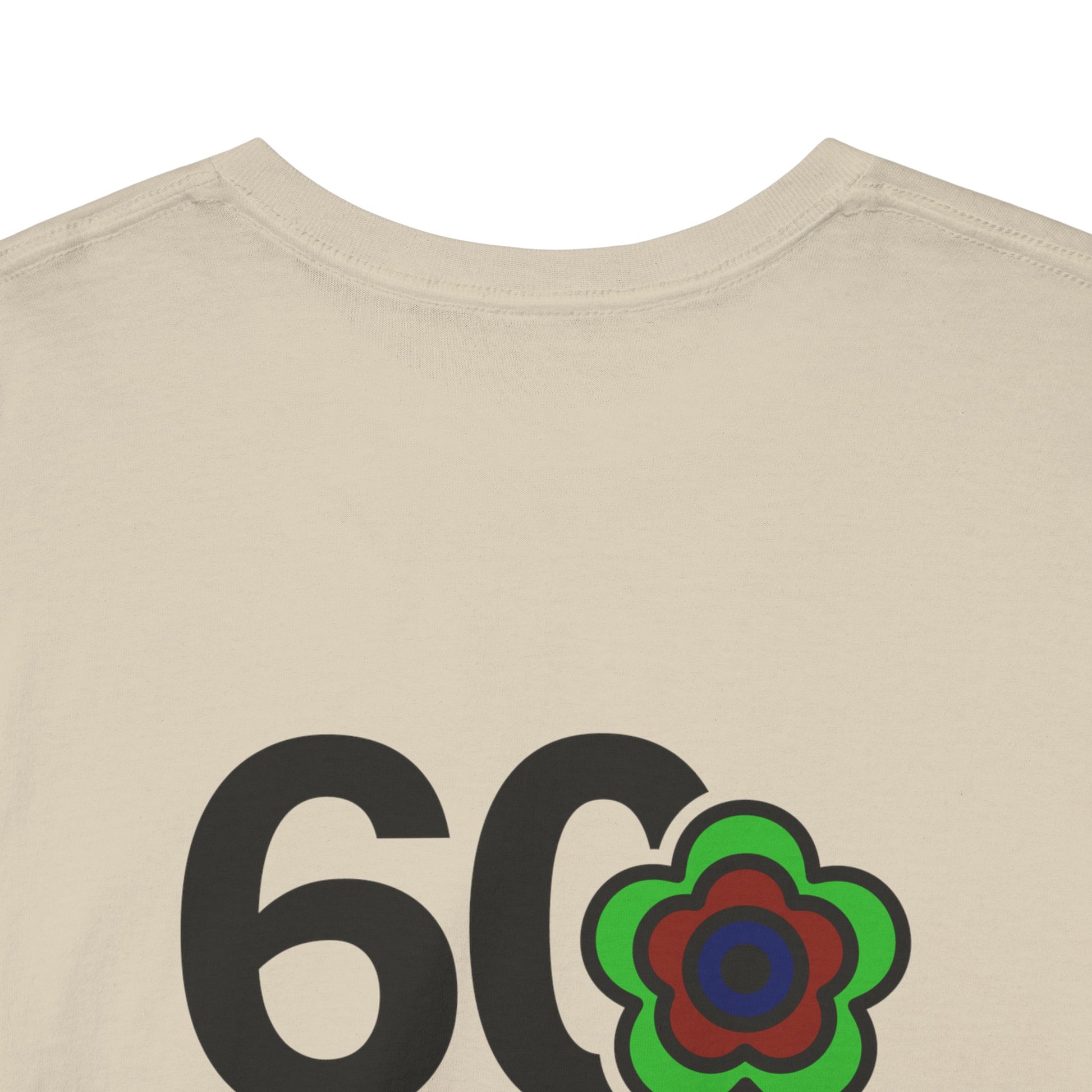 P🌺🌺P2Poppies 60 Days Sober – Motivational Recovery T-Shirt