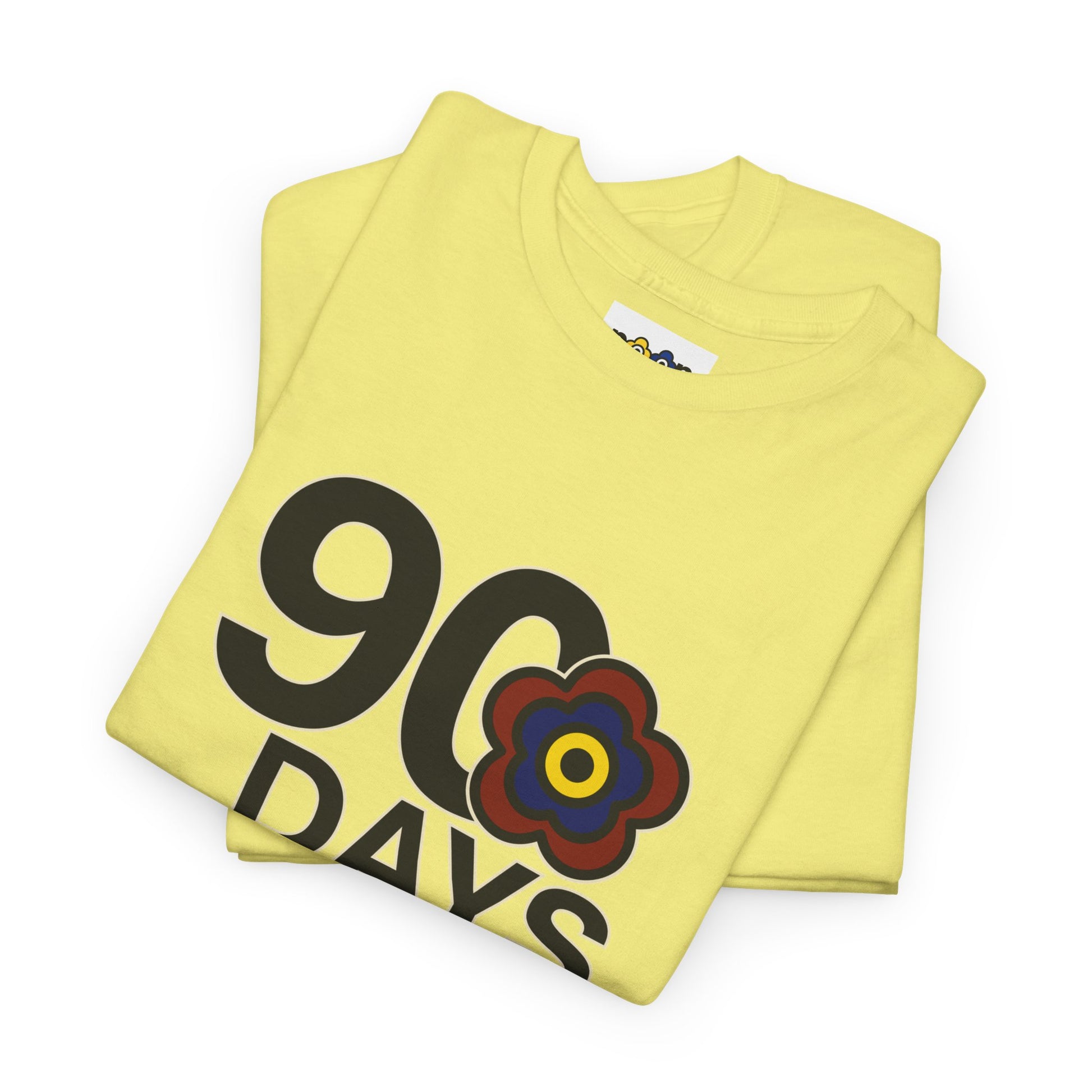 P🌺🌺P2Poppies 90 Days Sober – Motivational Recovery T-Shirt