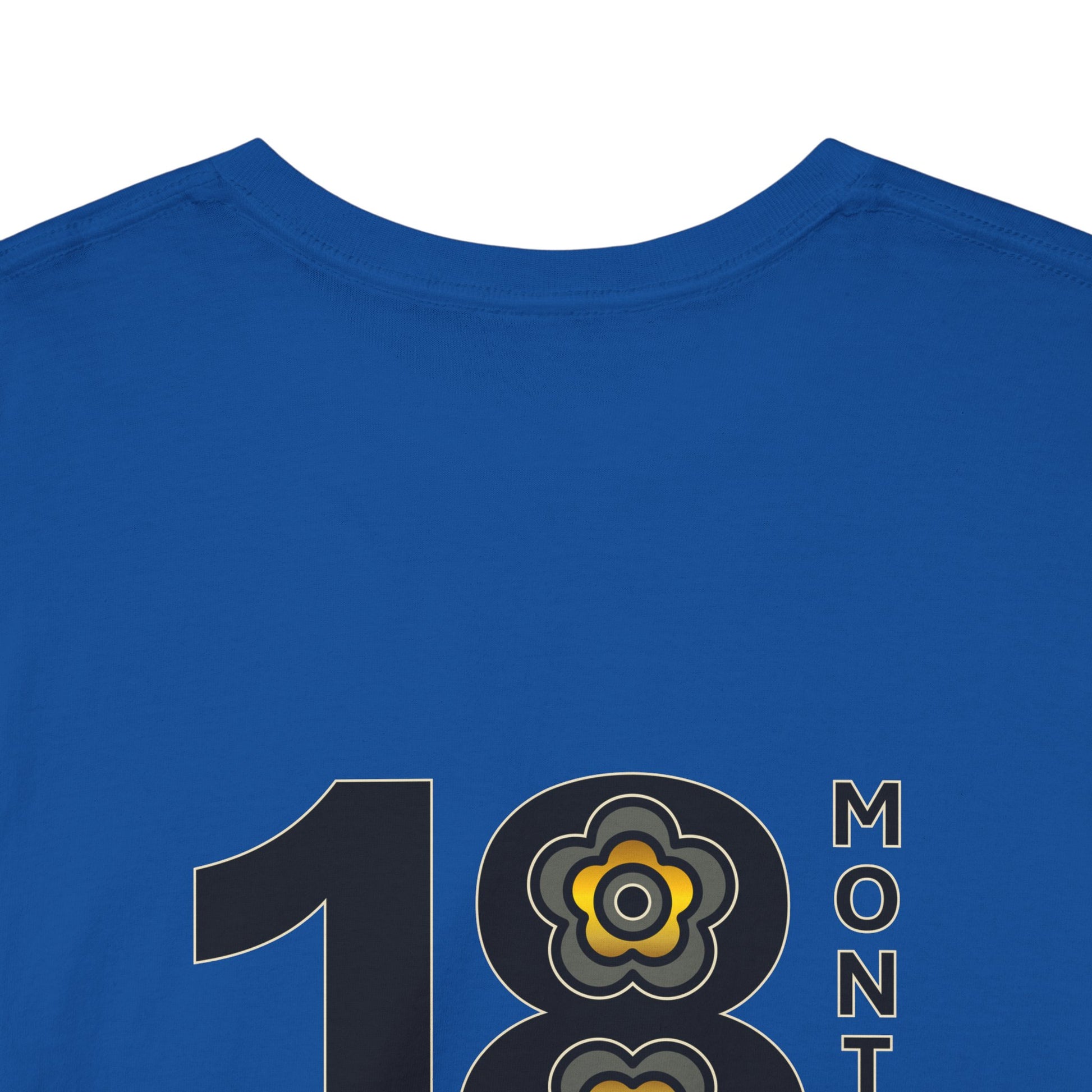 P🌺🌺P2Poppies 18 Months Sober – Motivational Recovery T-Shirt