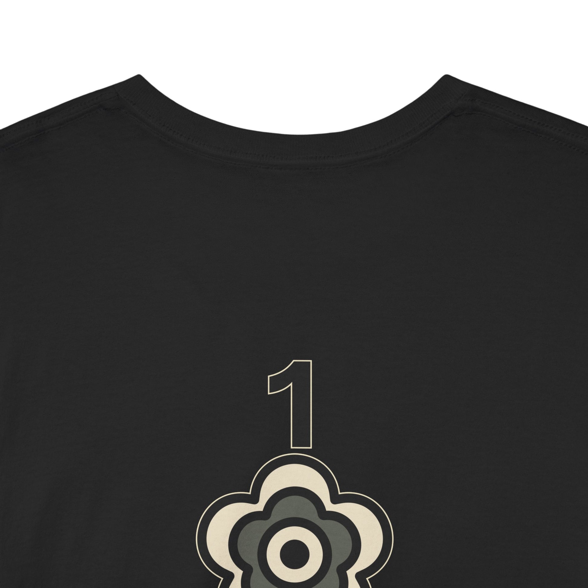 P🌺🌺P2Poppies 1 Year Sober – Motivational Recovery T-Shirt