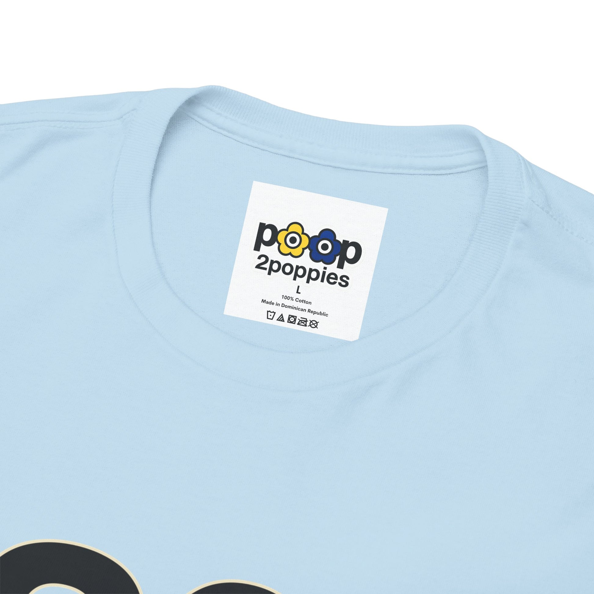 P🌺🌺P2Poppies 30 Days Sober – Motivational Recovery T-Shirt