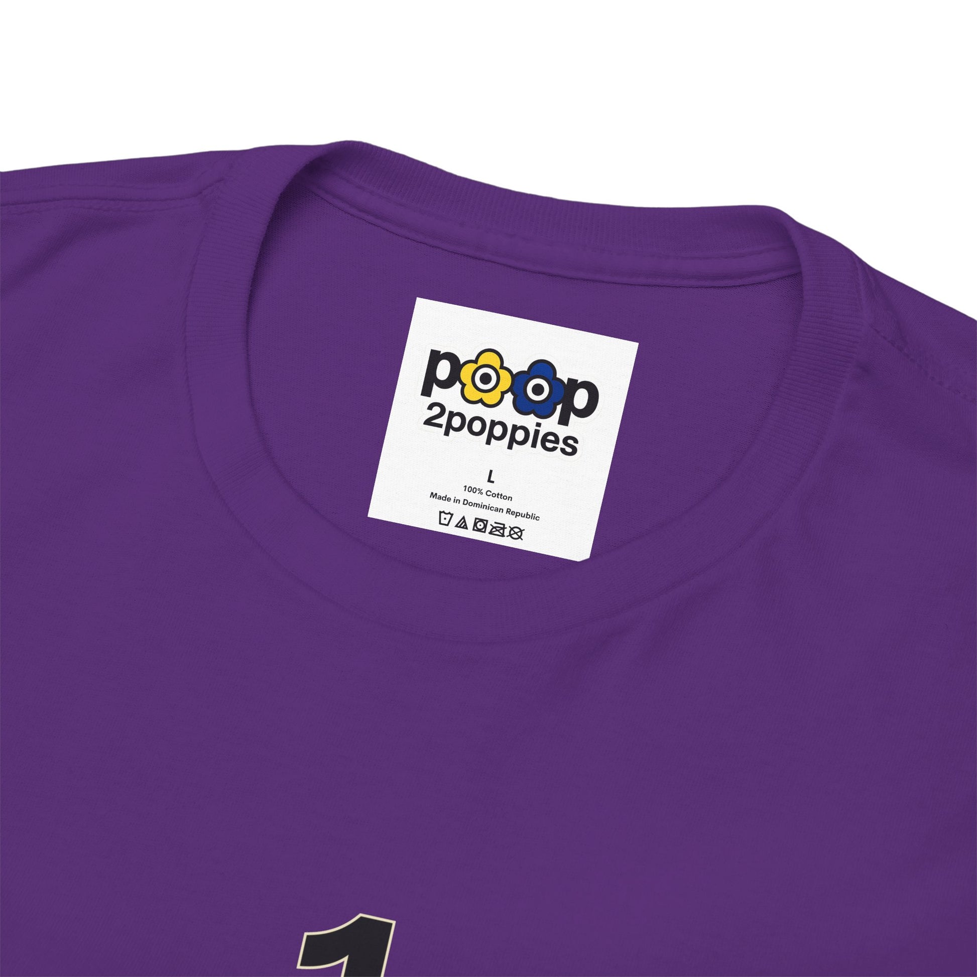 P🌺🌺P2Poppies 1 Year Sober – Motivational Recovery T-Shirt