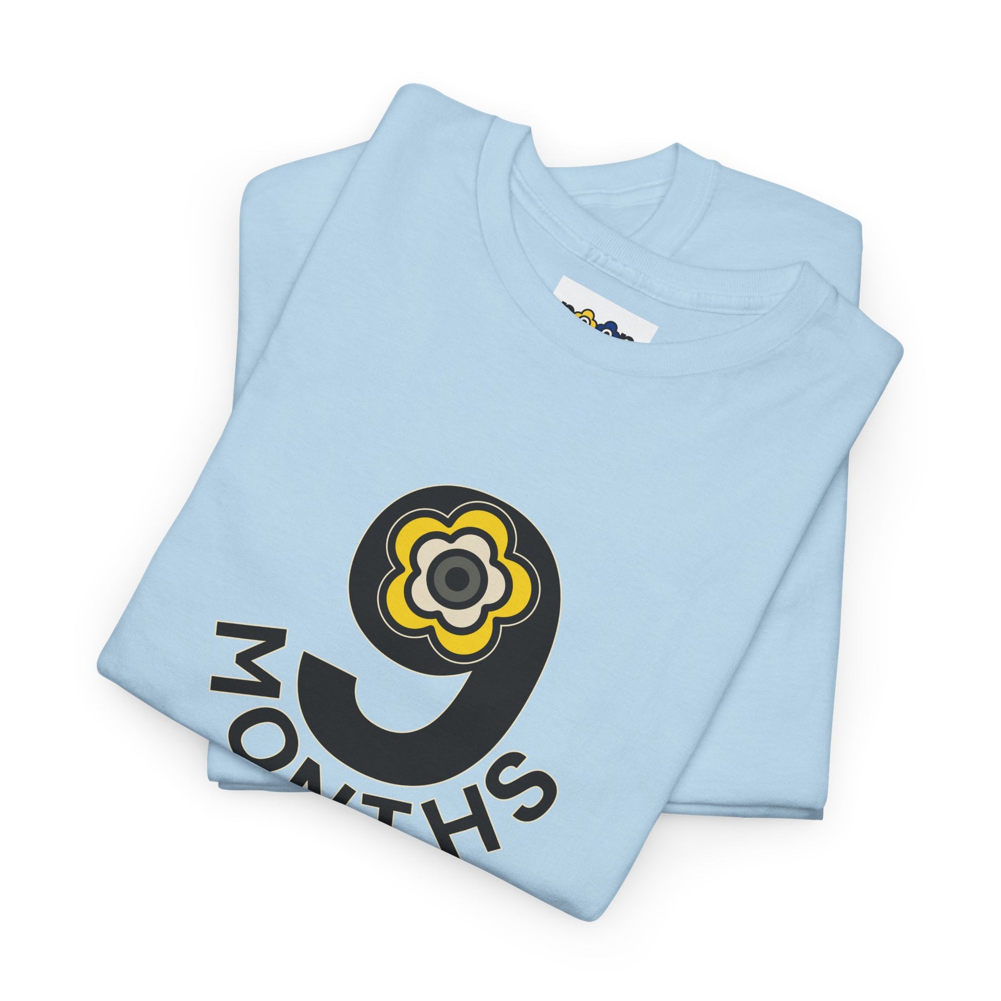 P🌺🌺P2Poppies 1 Year Sober – Motivational Recovery T-Shirt