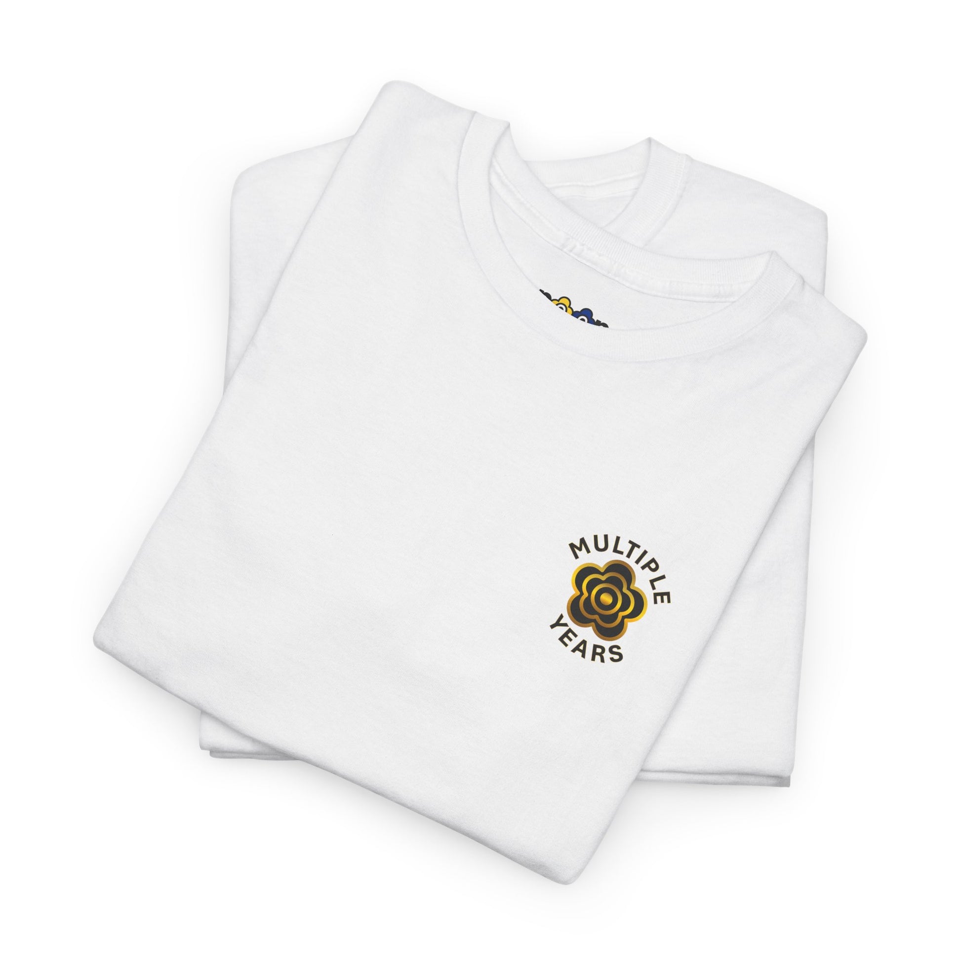 P🌺🌺P2Poppies Multiple Years Sober – Motivational Recovery T-Shirt