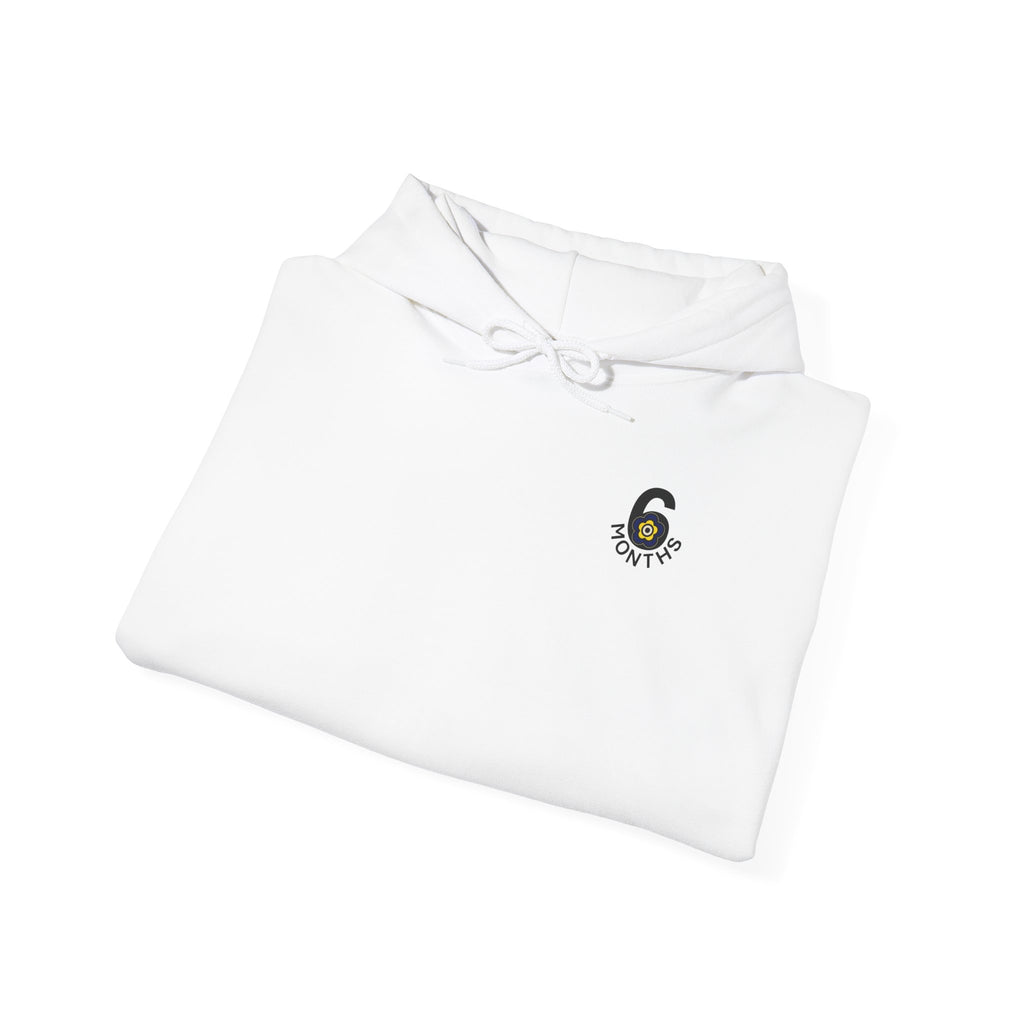 P🌺🌺P2Poppies 6 Months Sober Hoodie – Recovery Milestone Sweatshirt