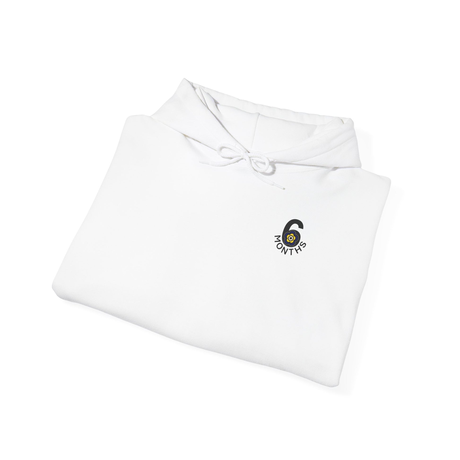 P🌺🌺P2Poppies 6 Months Sober Hoodie – Recovery Milestone Sweatshirt