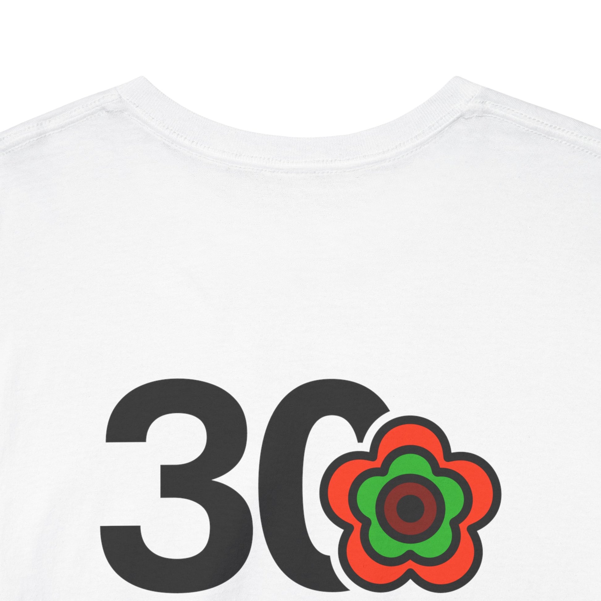 P🌺🌺P2Poppies 30 Days Sober – Motivational Recovery T-Shirt