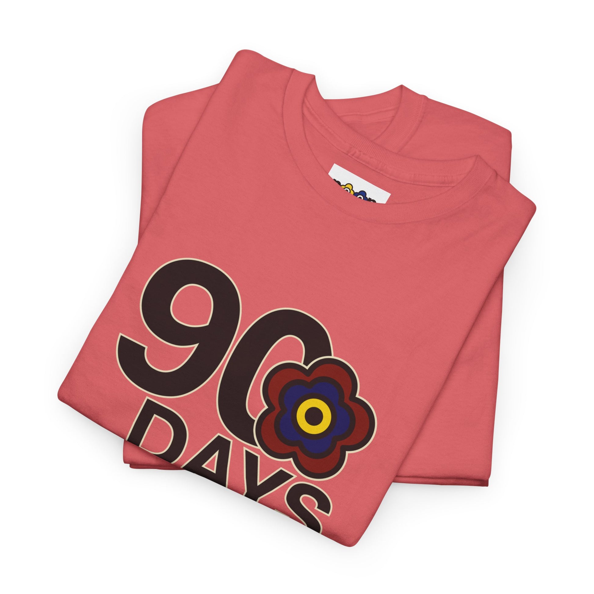 P🌺🌺P2Poppies 90 Days Sober – Motivational Recovery T-Shirt