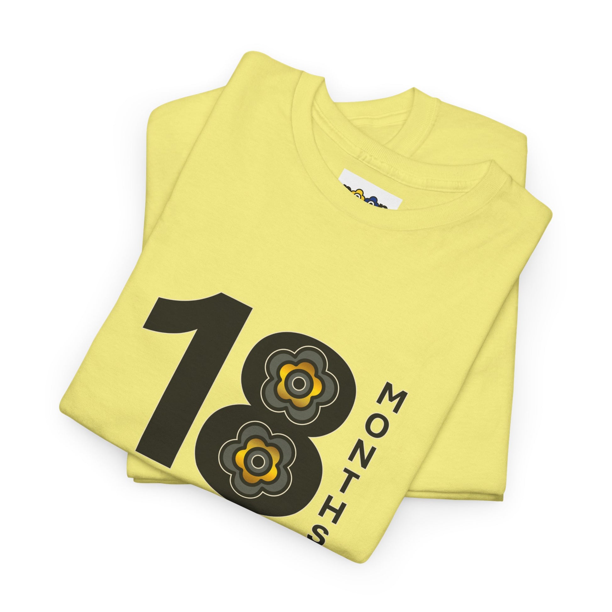 P🌺🌺P2Poppies 18 Months Sober – Motivational Recovery T-Shirt