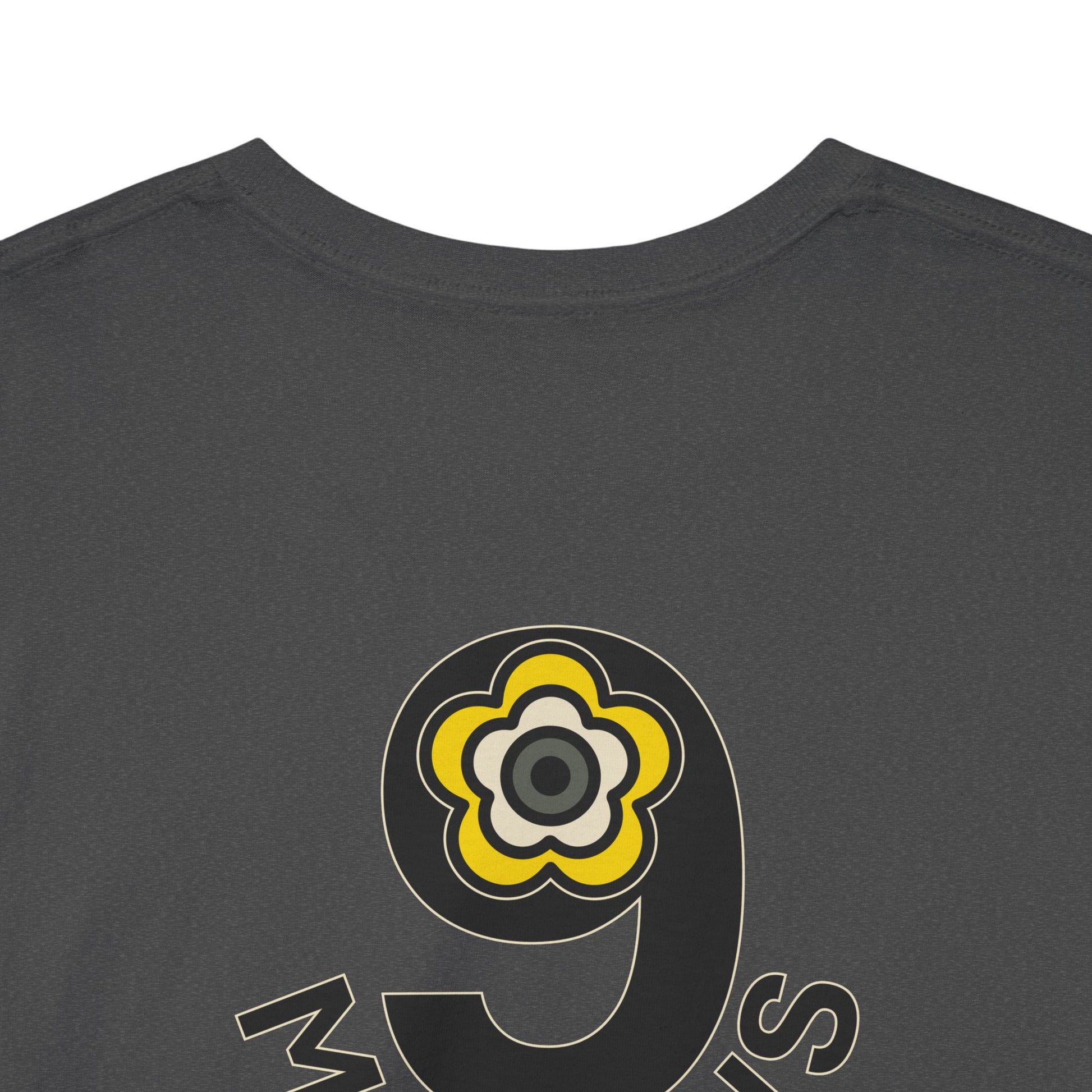 P🌺🌺P2Poppies 9 Months Sober – Motivational Recovery T-Shirt