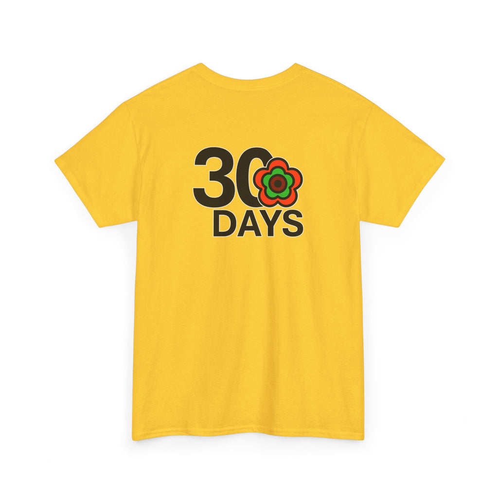 P🌺🌺P2Poppies 30 Days Sober – Motivational Recovery T-Shirt