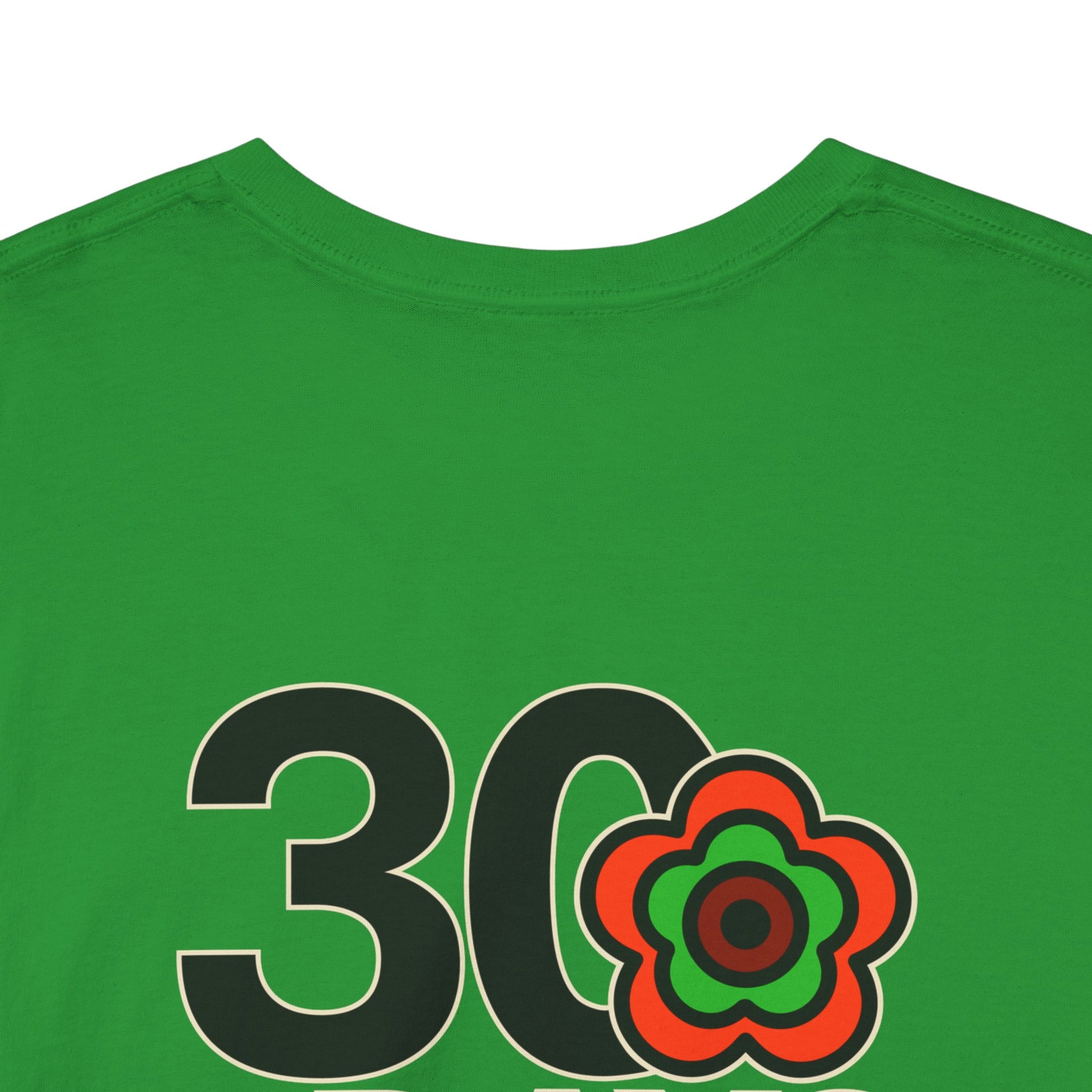 P🌺🌺P2Poppies 30 Days Sober – Motivational Recovery T-Shirt