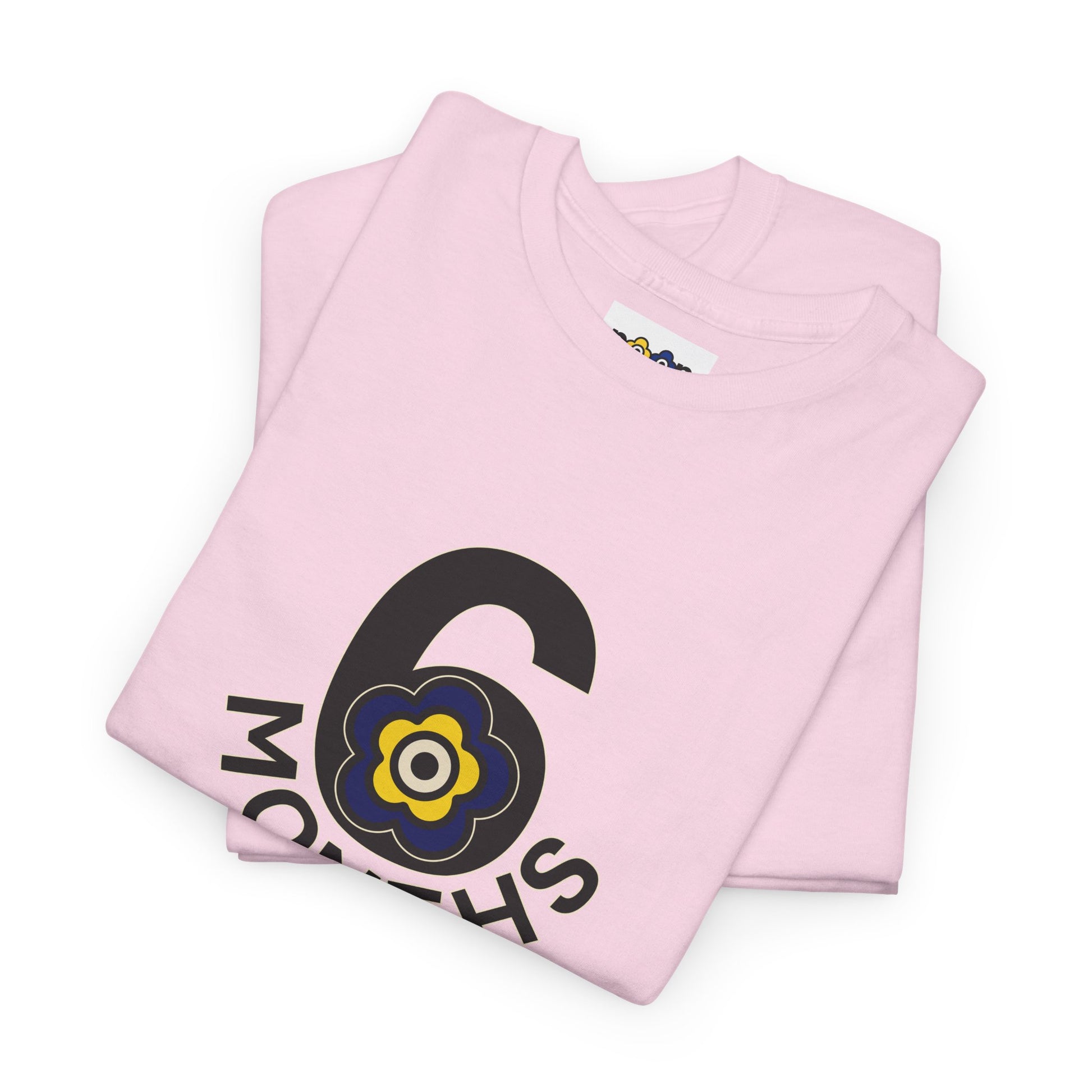 P🌺🌺P2Poppies 6 Months Sober – Motivational Recovery T-Shirt