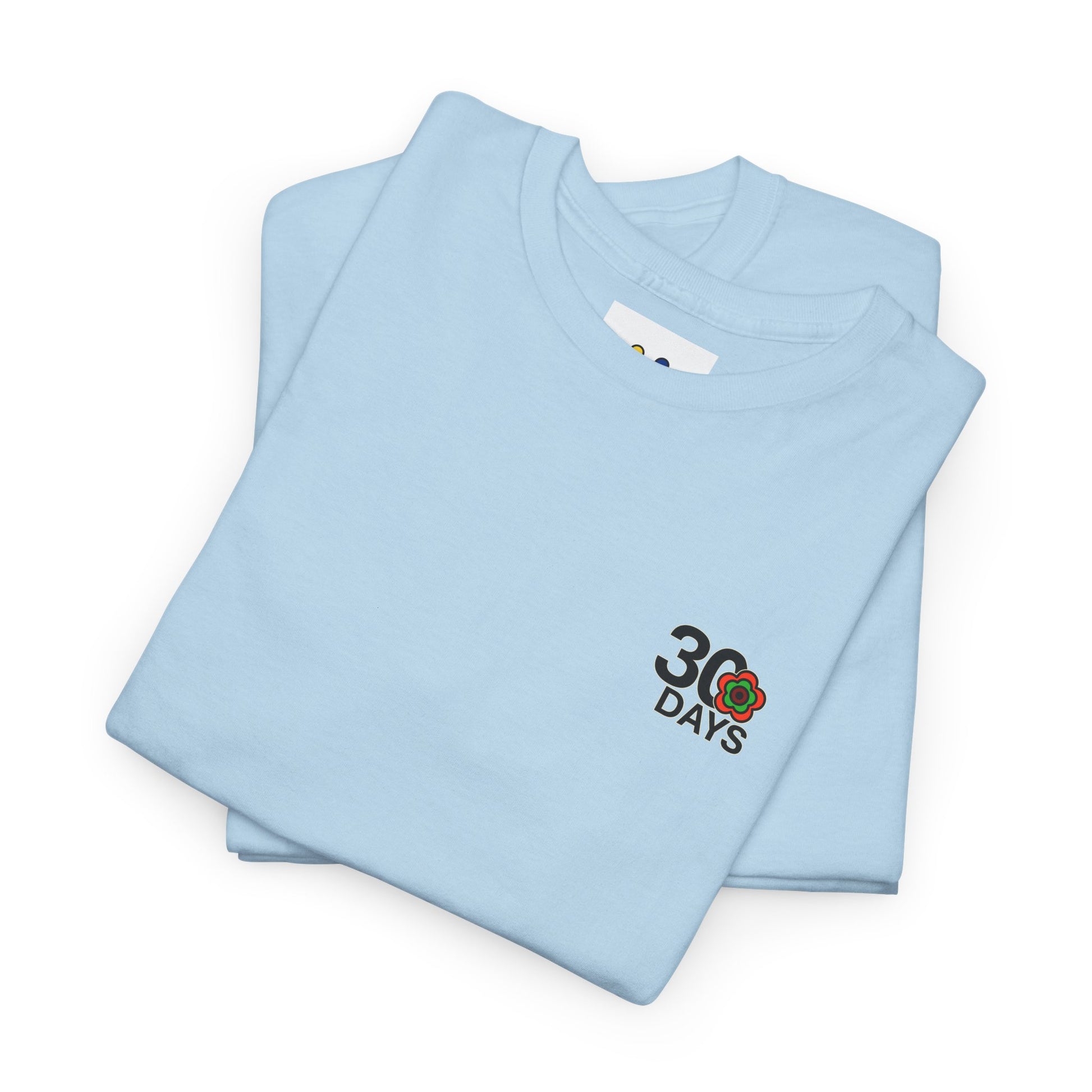 P🌺🌺P2Poppies 30 Days Sober – Motivational Recovery T-Shirt