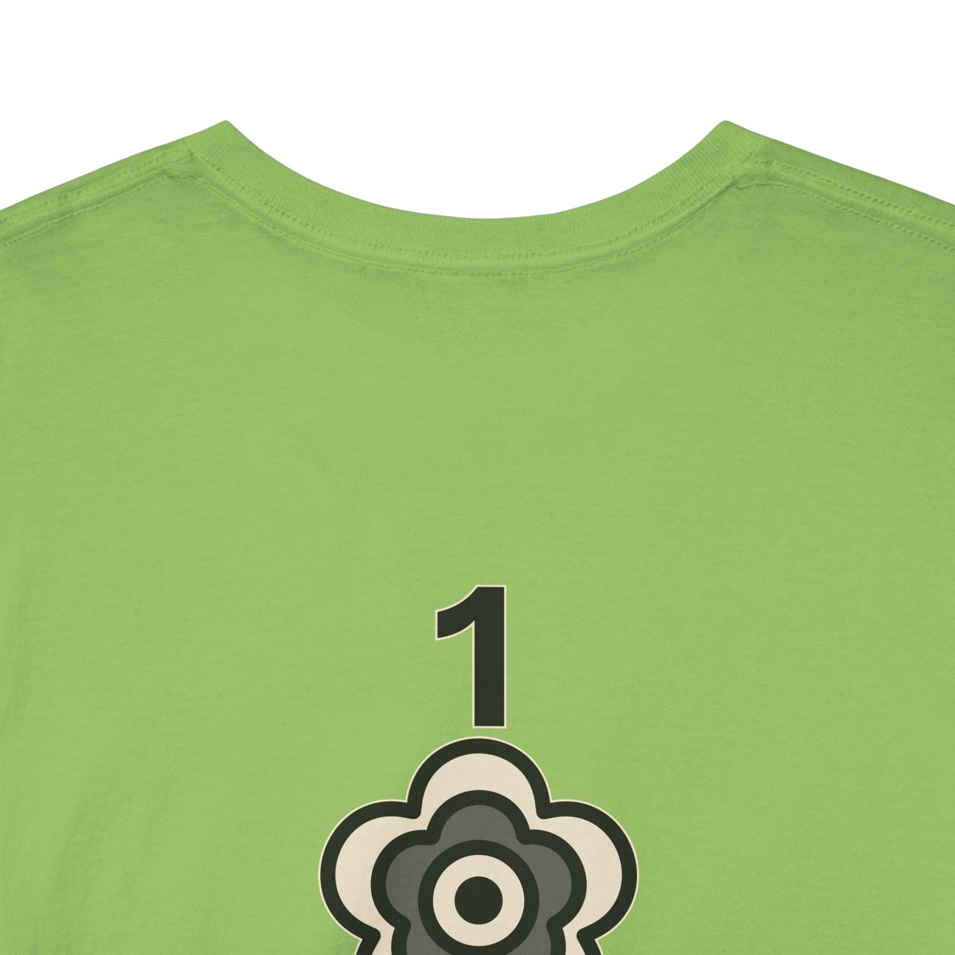 P🌺🌺P2Poppies 1 Year Sober – Motivational Recovery T-Shirt