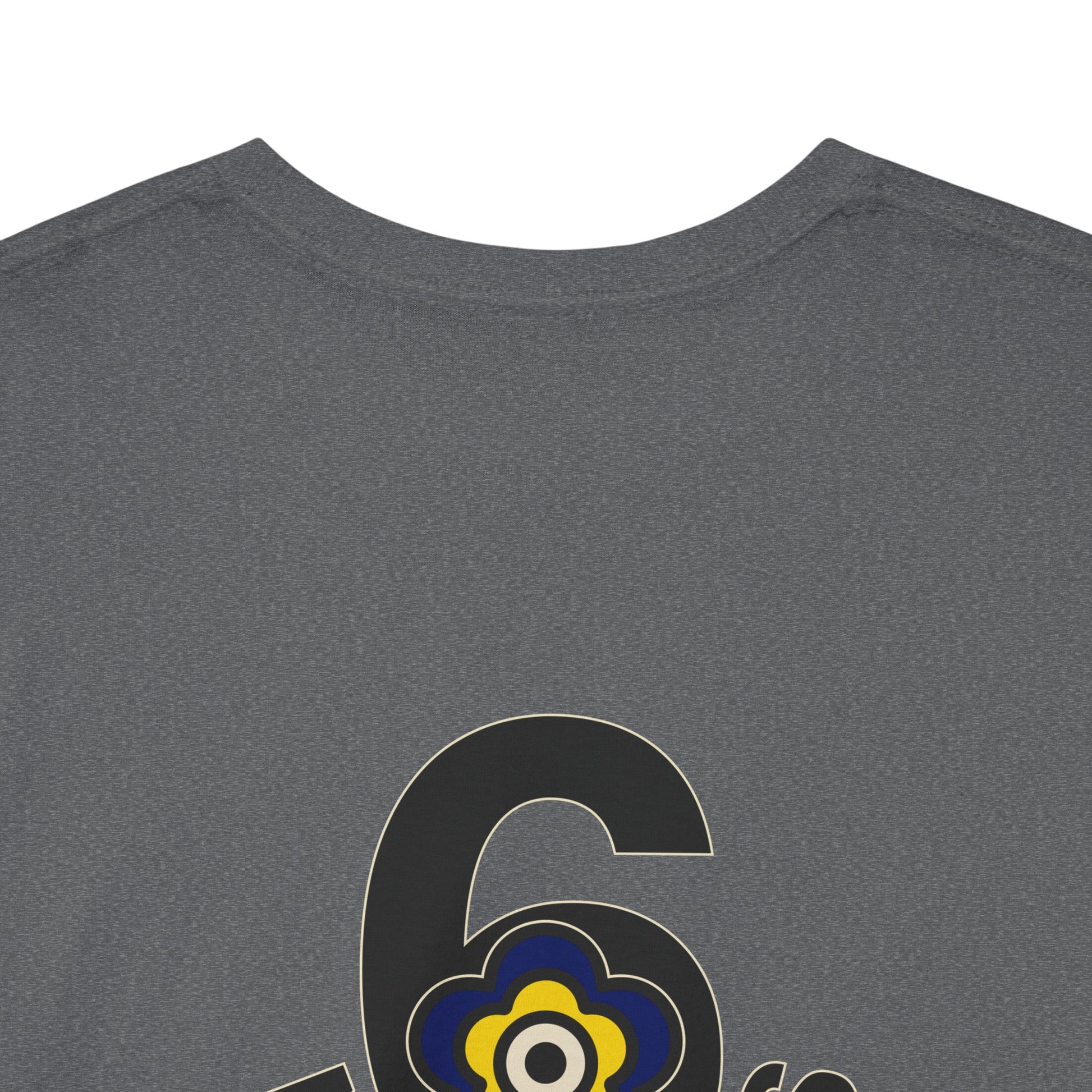 P🌺🌺P2Poppies 6 Months Sober – Motivational Recovery T-Shirt