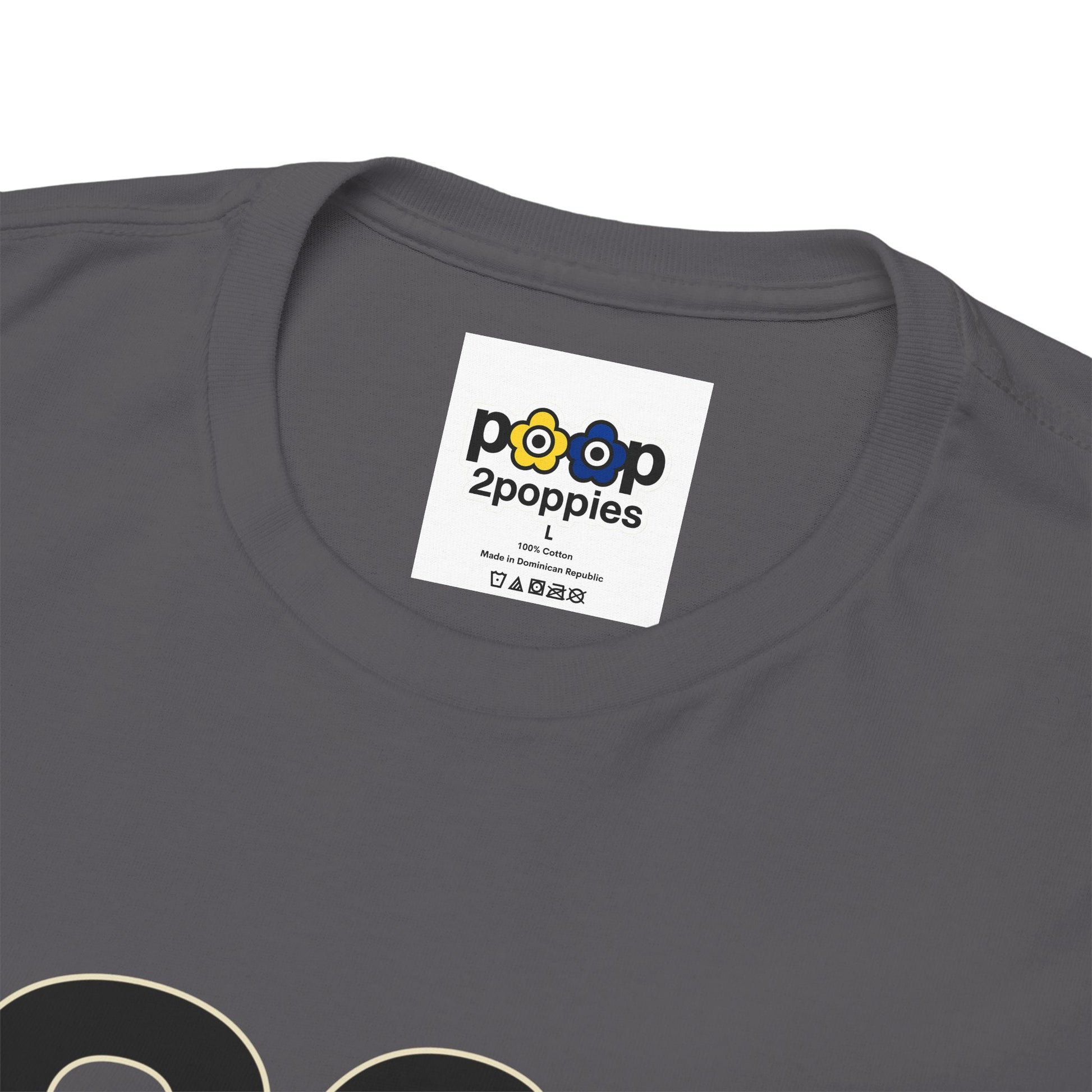 P🌺🌺P2Poppies 30 Days Sober – Motivational Recovery T-Shirt