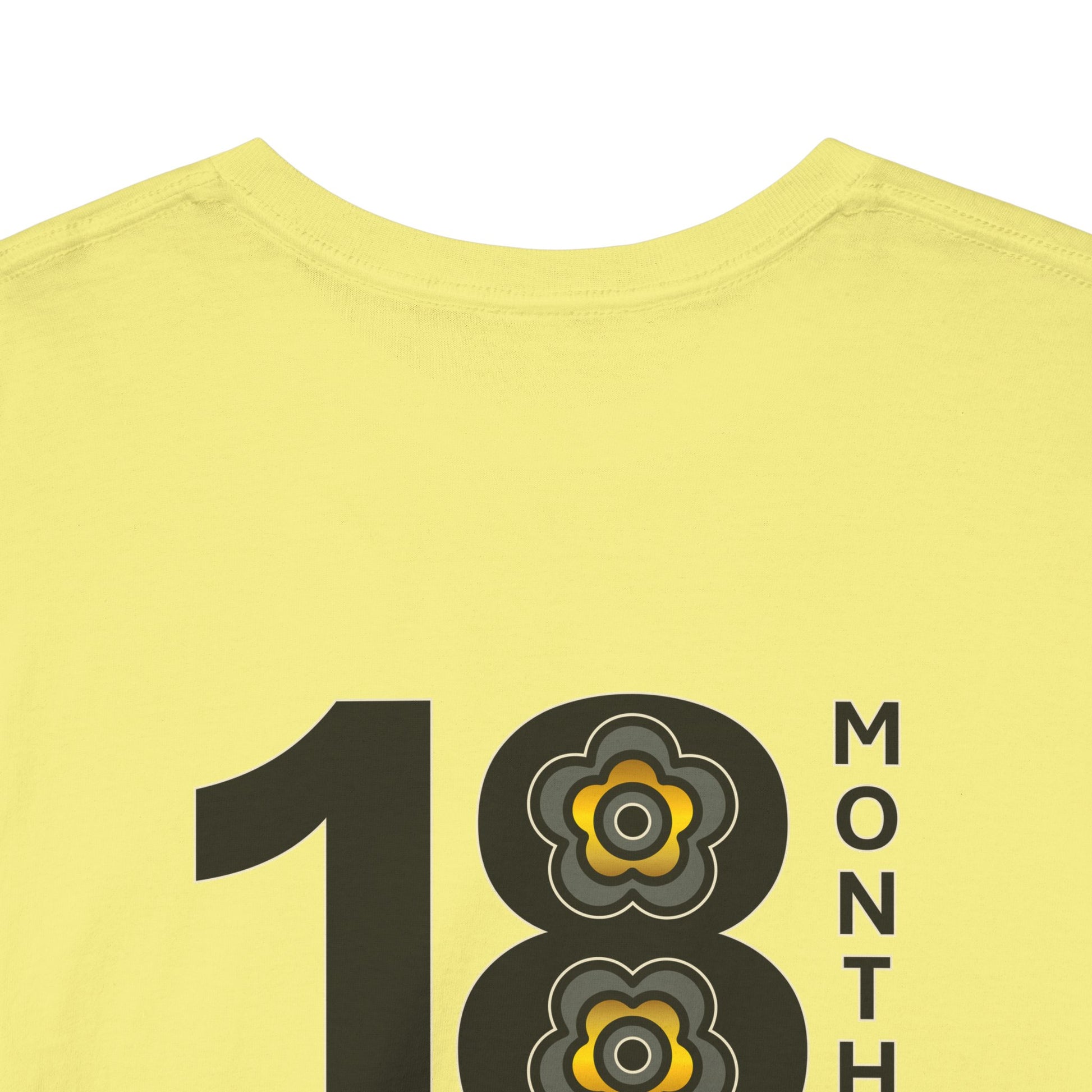 P🌺🌺P2Poppies 18 Months Sober – Motivational Recovery T-Shirt