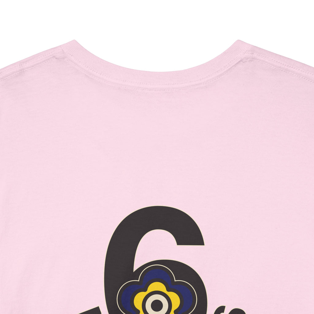 P🌺🌺P2Poppies 6 Months Sober – Motivational Recovery T-Shirt