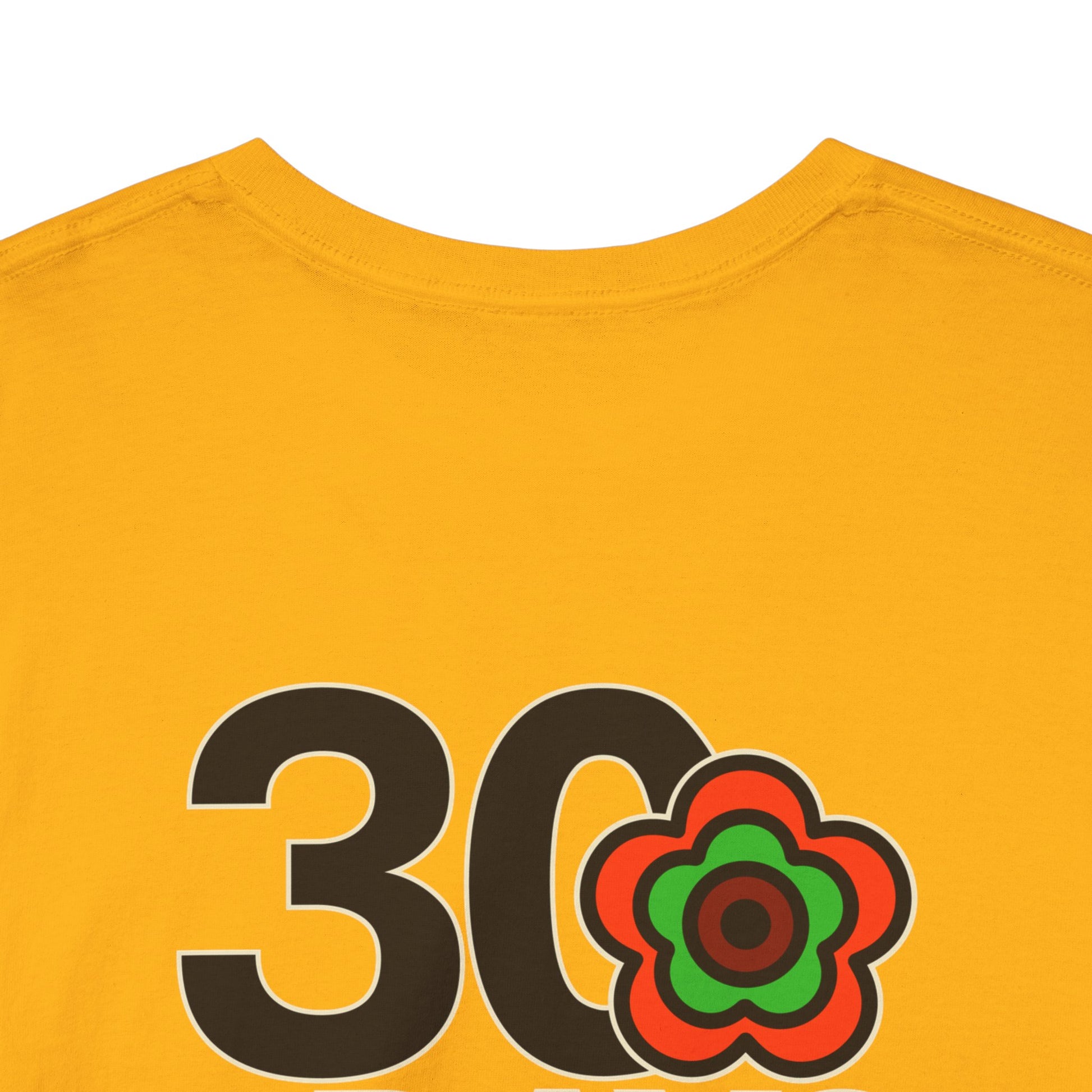 P🌺🌺P2Poppies 30 Days Sober – Motivational Recovery T-Shirt