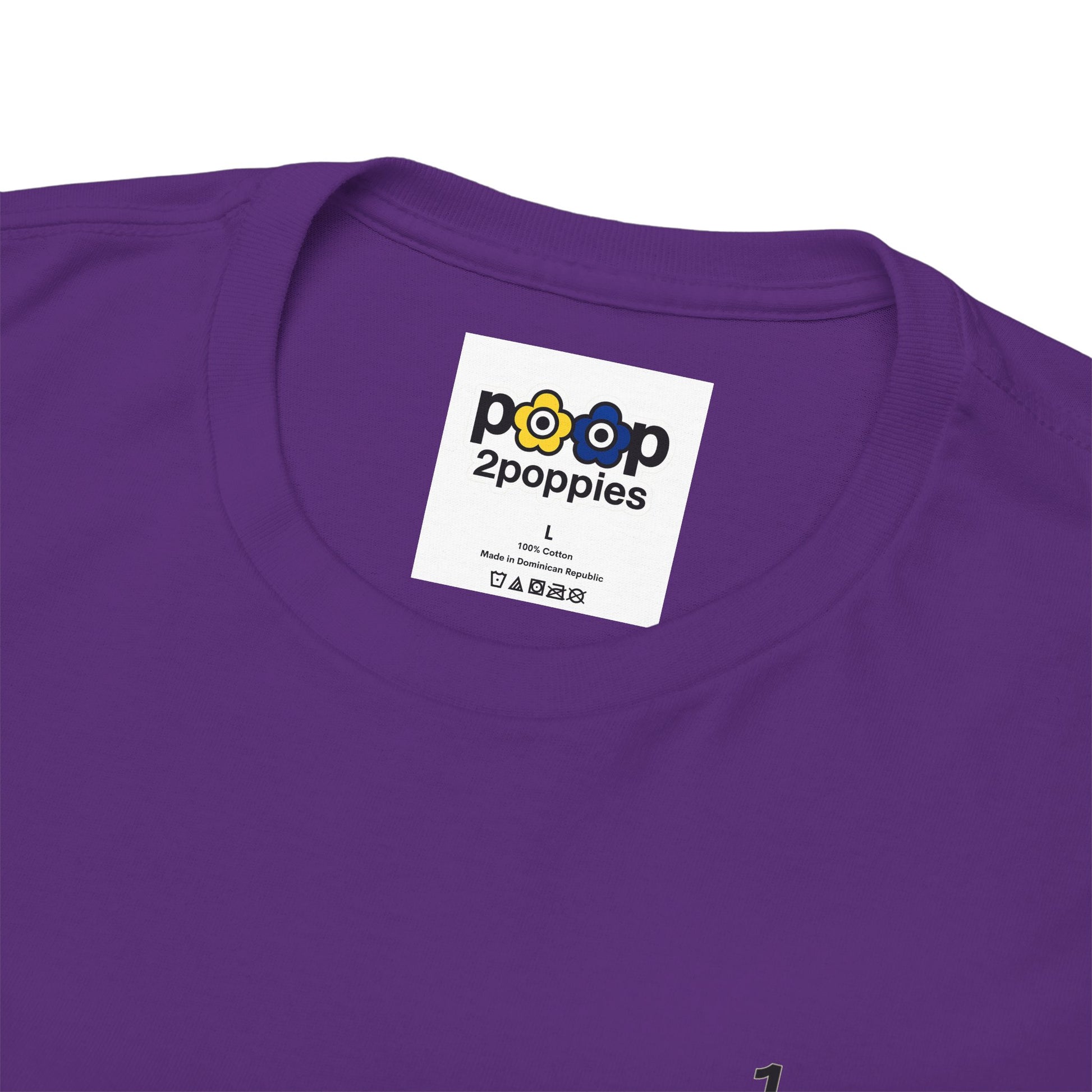 P🌺🌺P2Poppies 1 Year Sober – Motivational Recovery T-Shirt