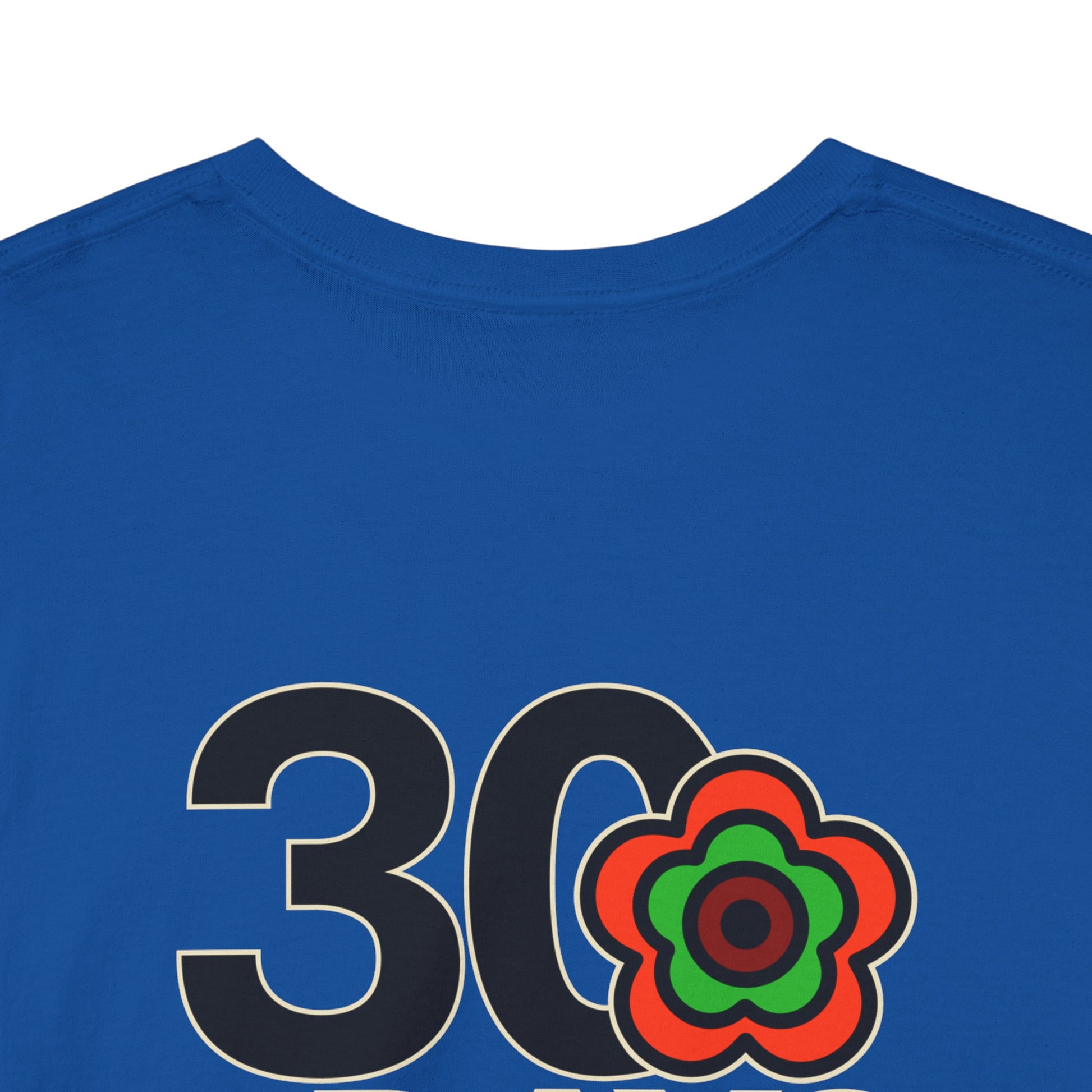 P🌺🌺P2Poppies 30 Days Sober – Motivational Recovery T-Shirt