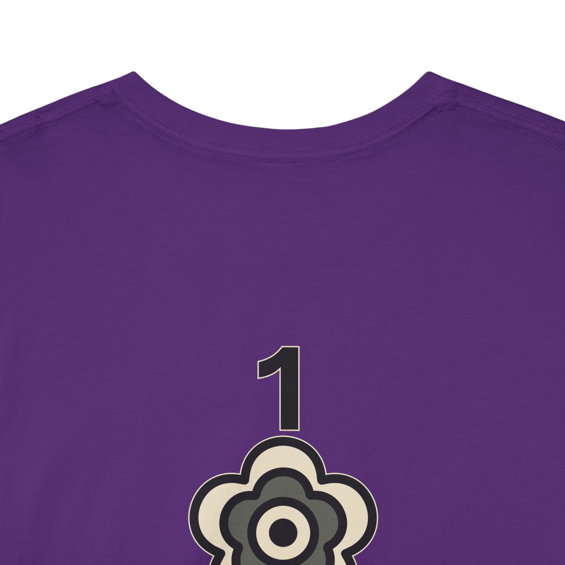 P🌺🌺P2Poppies 1 Year Sober – Motivational Recovery T-Shirt