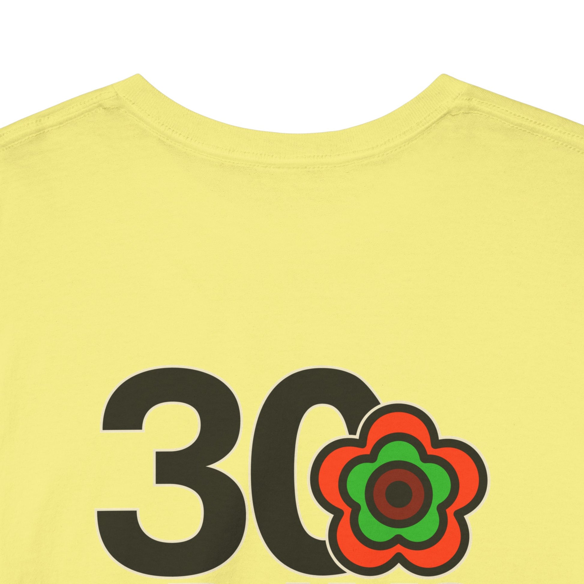 P🌺🌺P2Poppies 30 Days Sober – Motivational Recovery T-Shirt