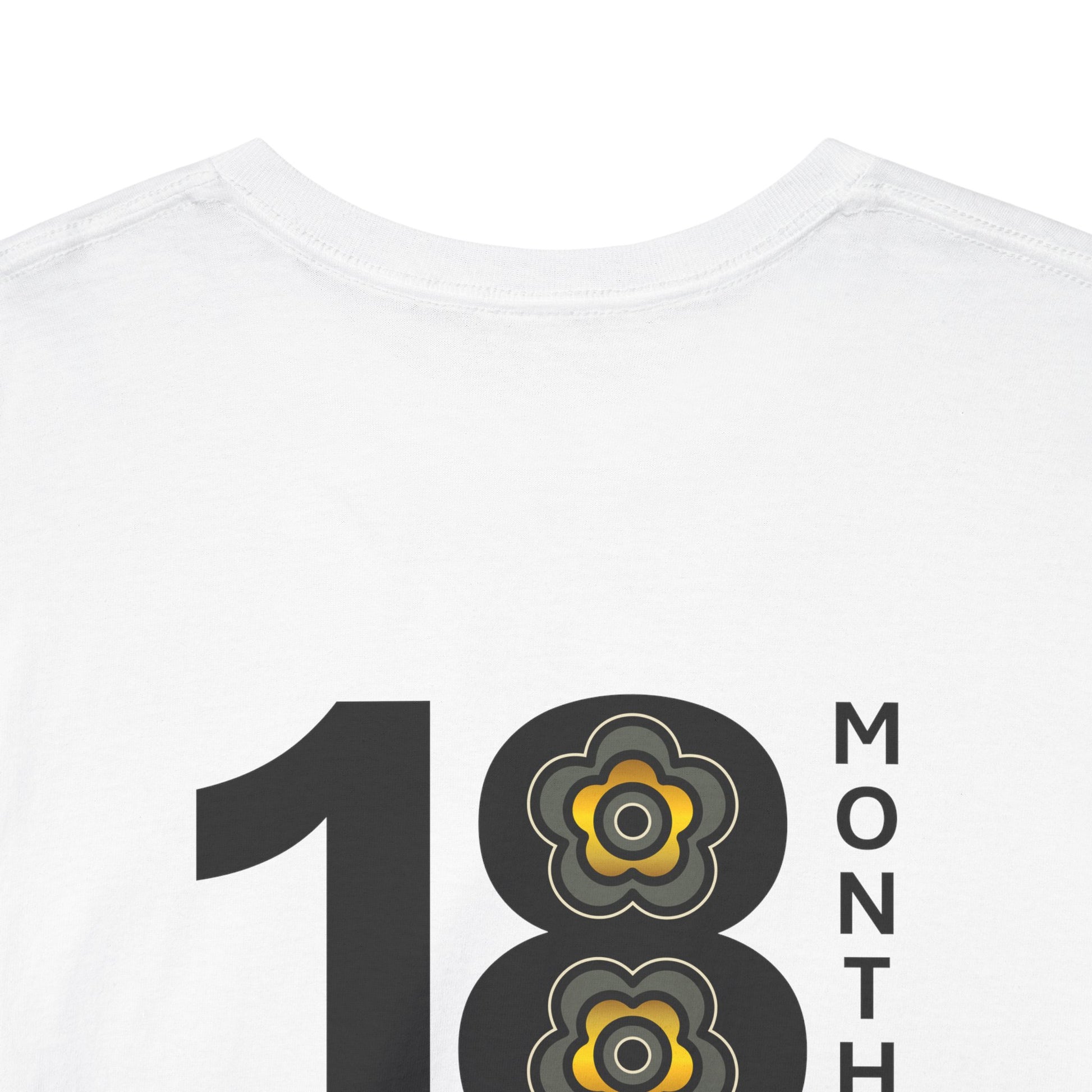 P🌺🌺P2Poppies 18 Months Sober – Motivational Recovery T-Shirt